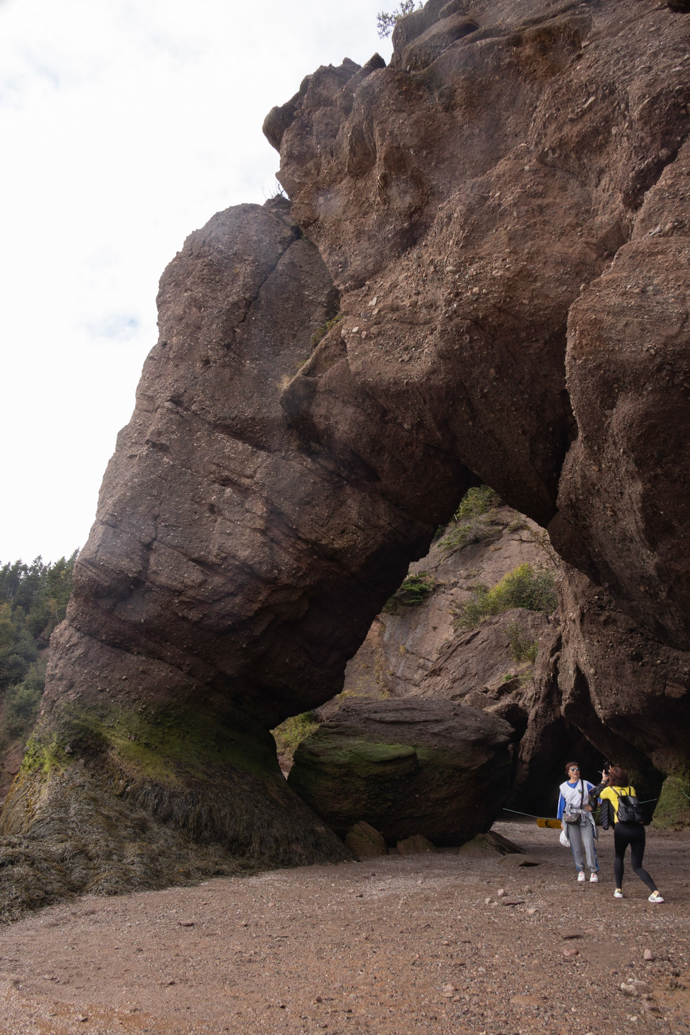 Before, Hopewell Rocks PP, New Brunswick