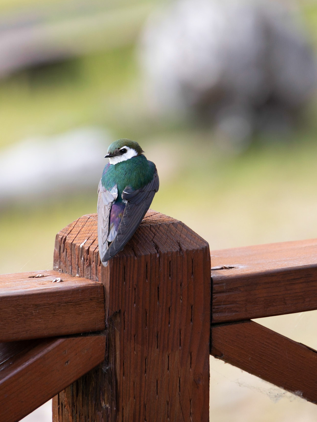 Stonewood Lodge, Lake Clark, AK