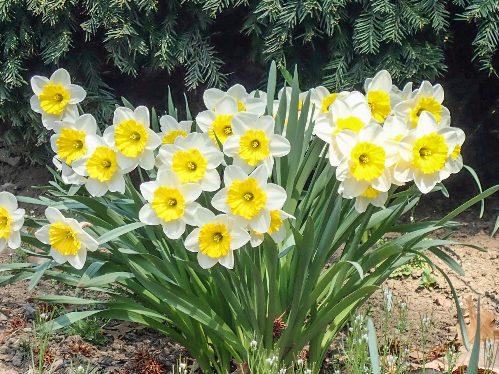 University Cirlcle, Cleveland OH