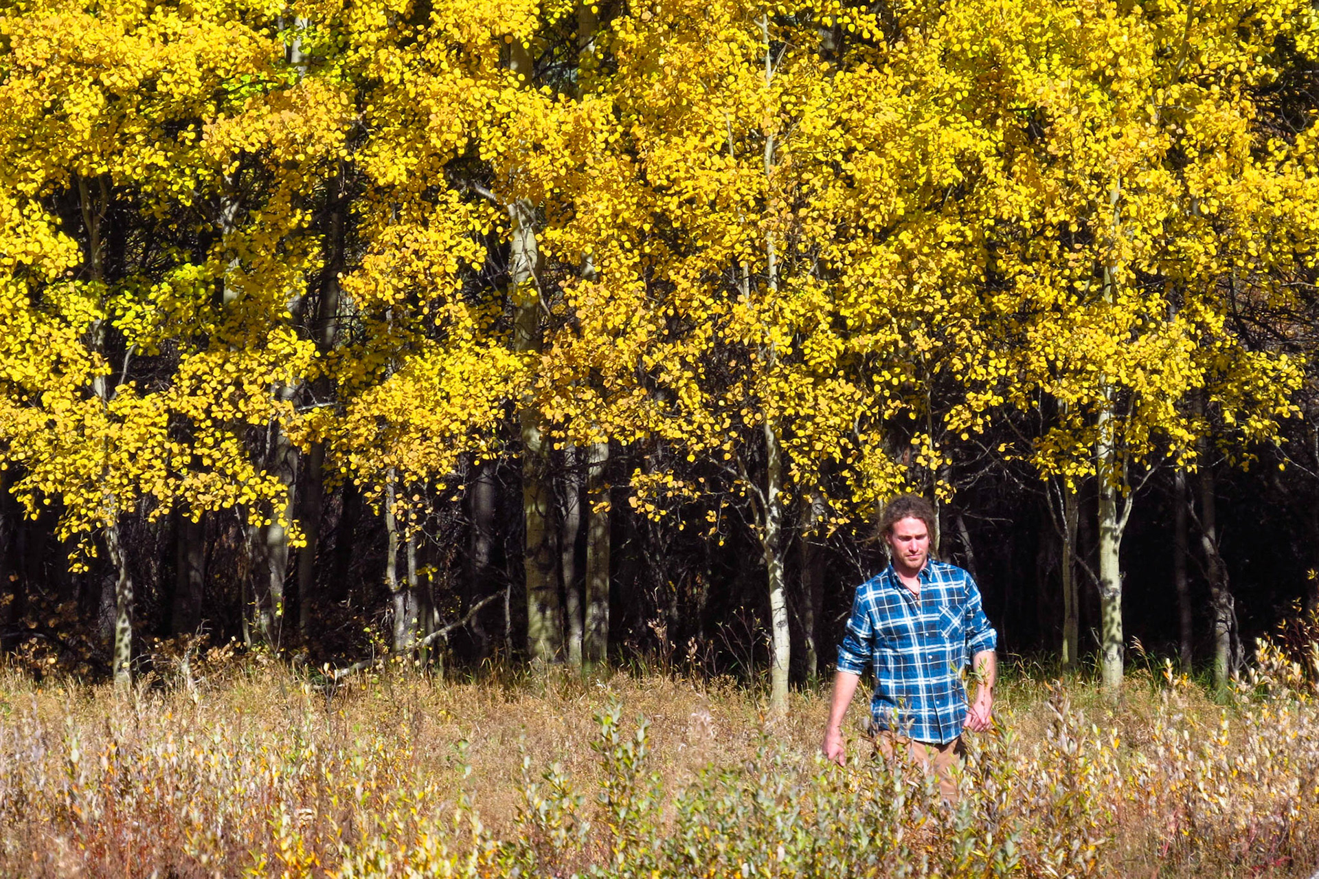 Hyland Ranch, Telegraph Creek BC CA
