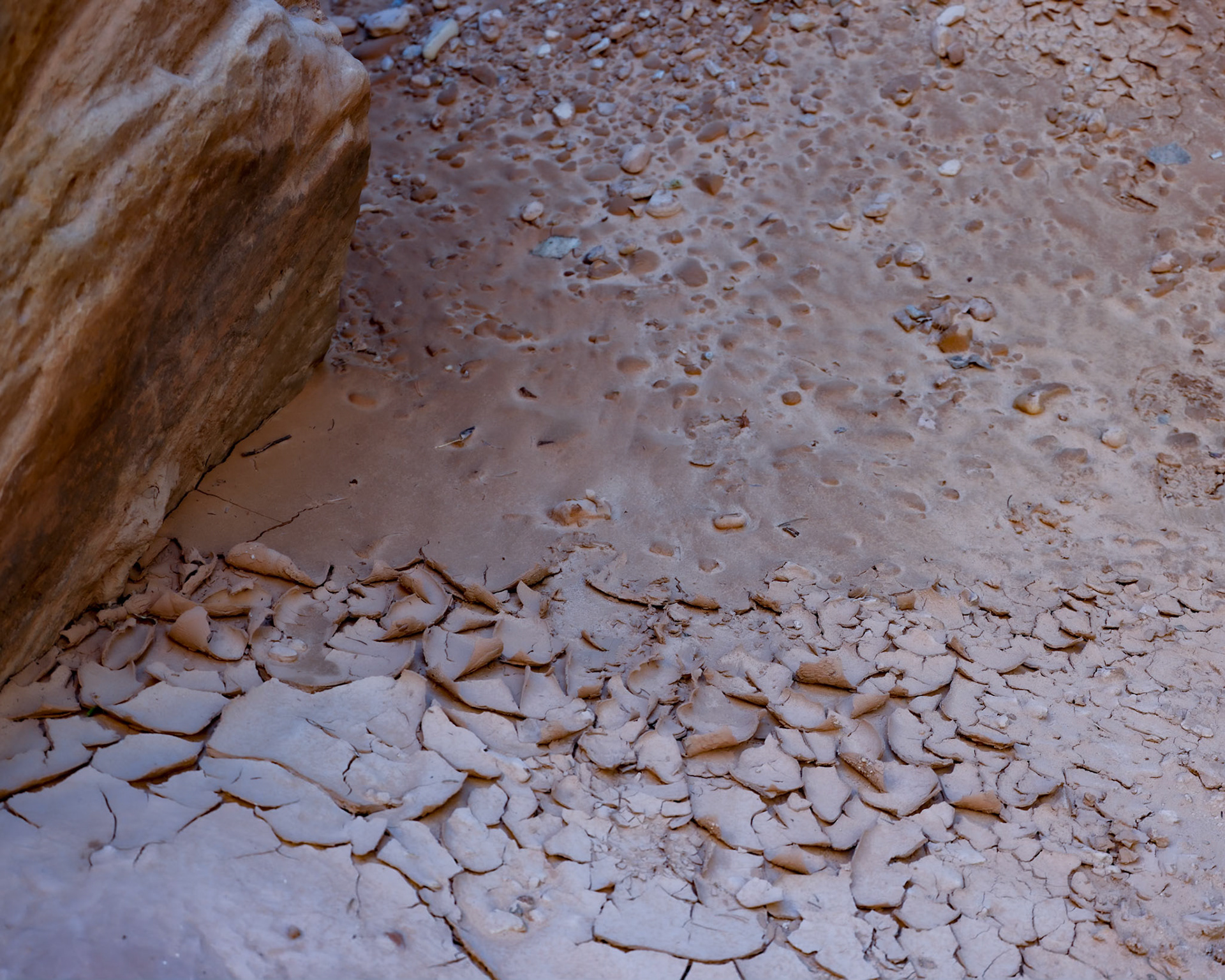 Natural Bridges NM, Blanding UT