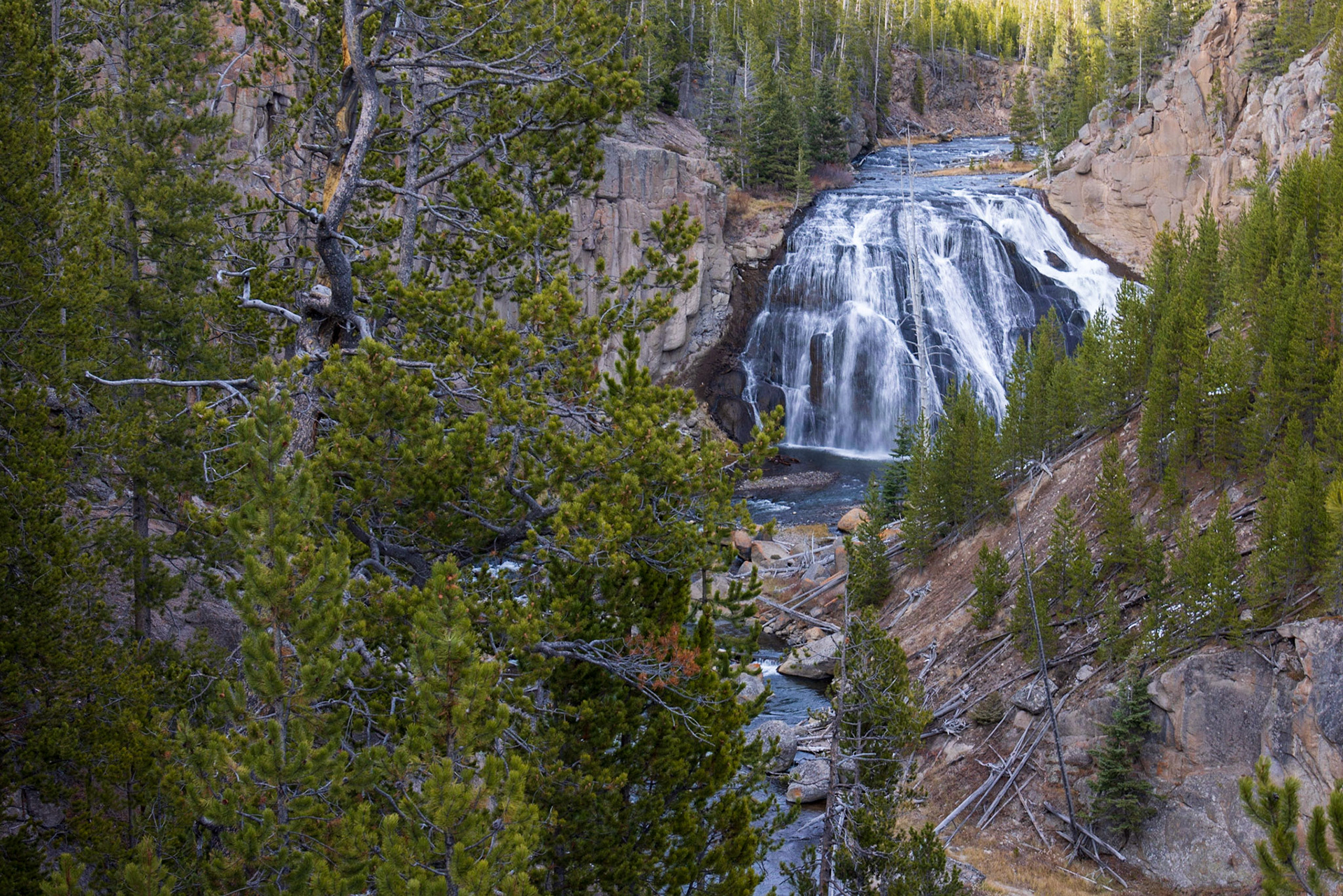 Gibbon Falls, Yellowstone NP WY