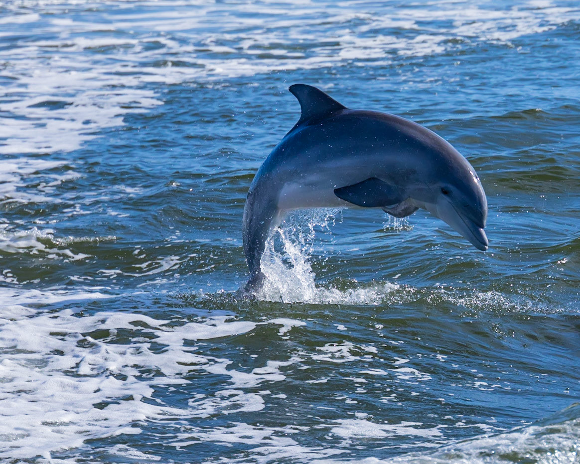 Appalachicola Bay, FL