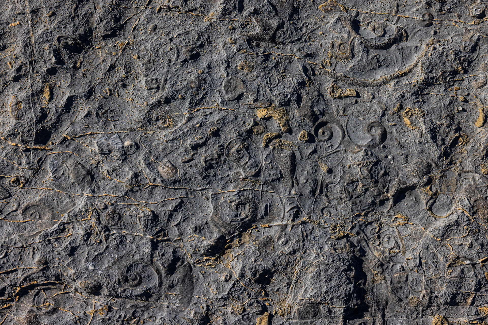 Pointe Ritchie Seashore, NL