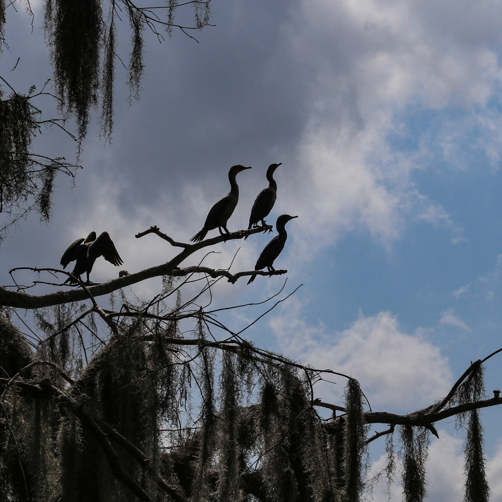 Circle B Bar Reserve, Lakeland FL