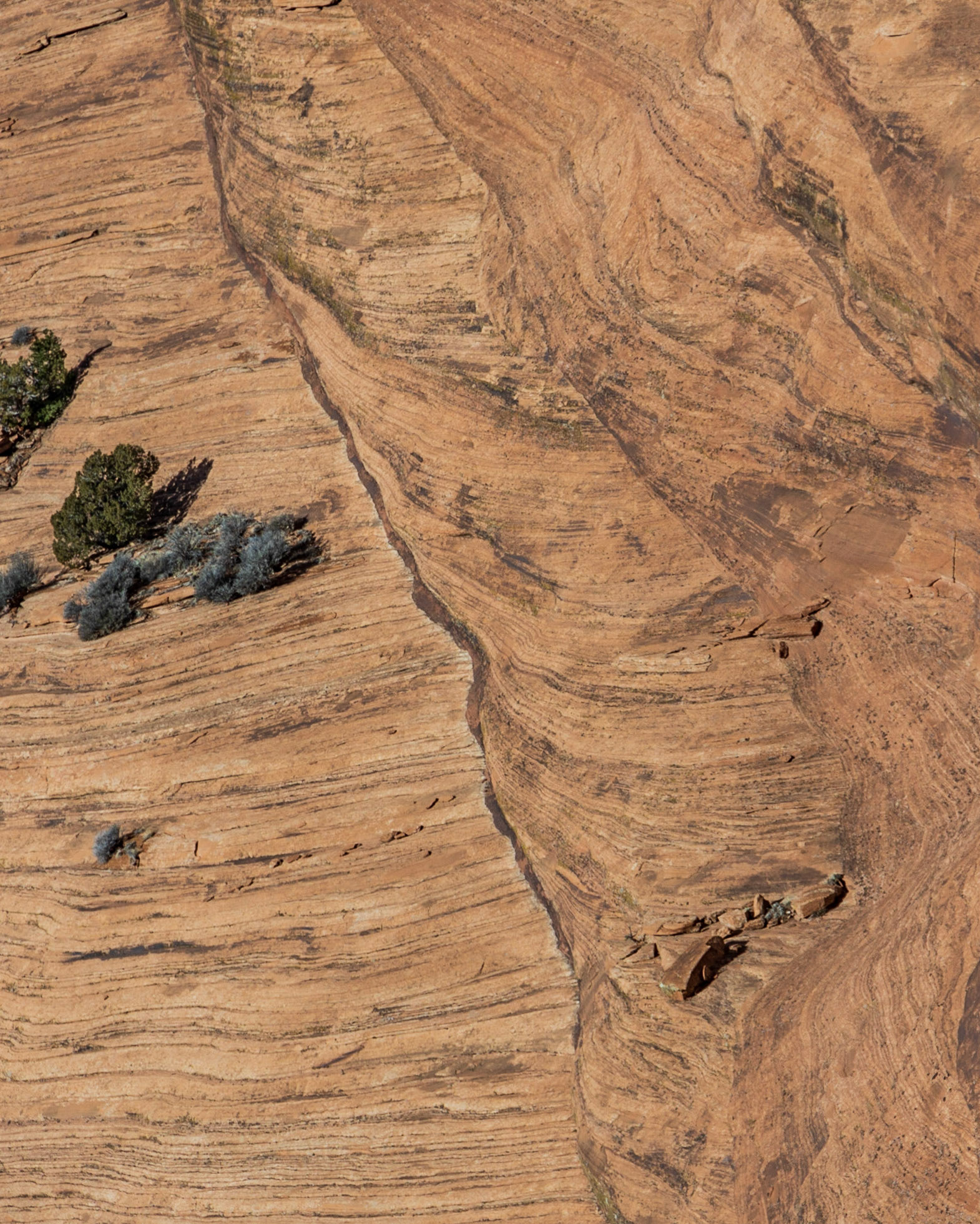 Canyon de Chelly, AZ