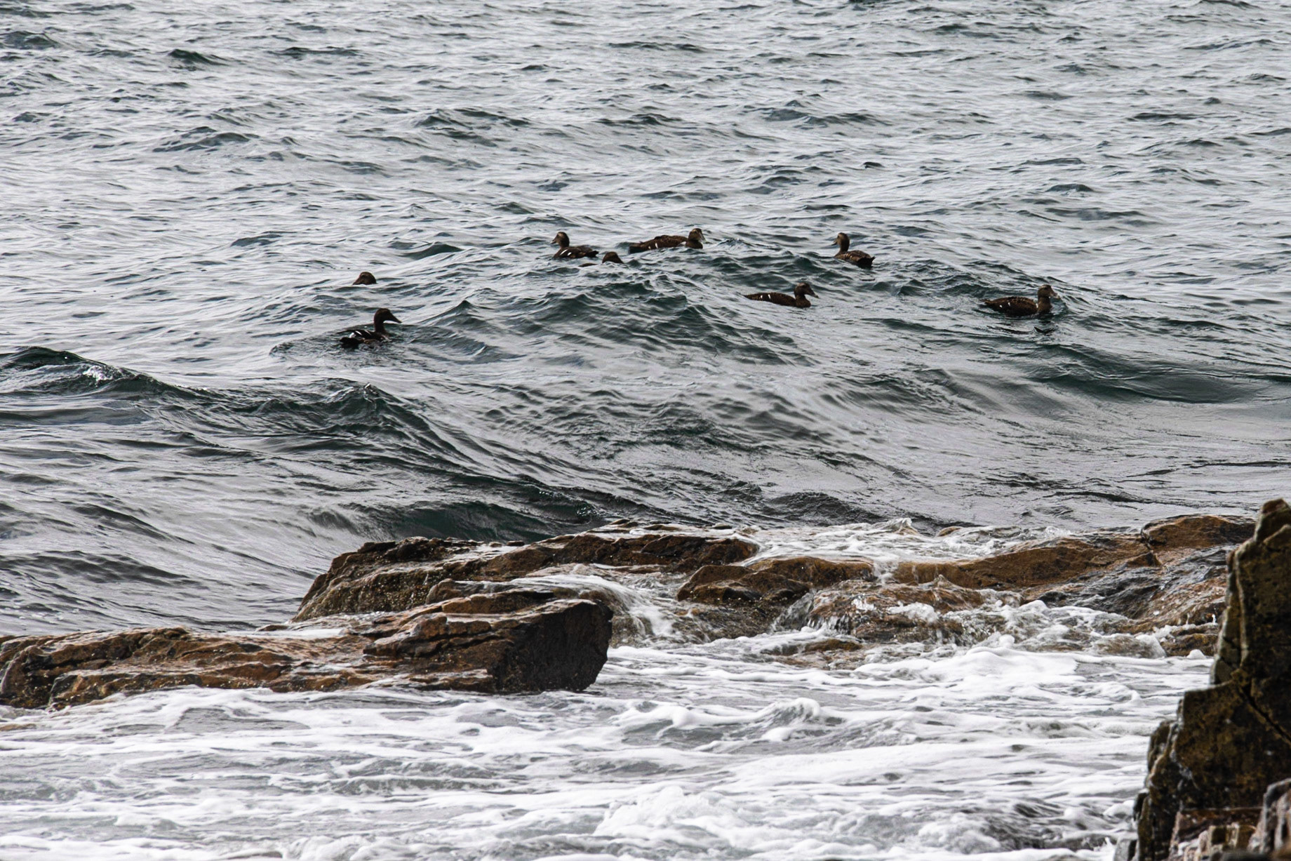 Little Hunters Beach, ME