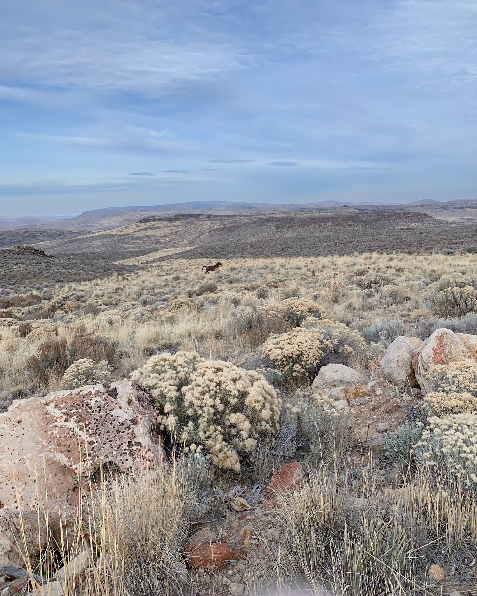 North Black Rock Range Wilderness, NV