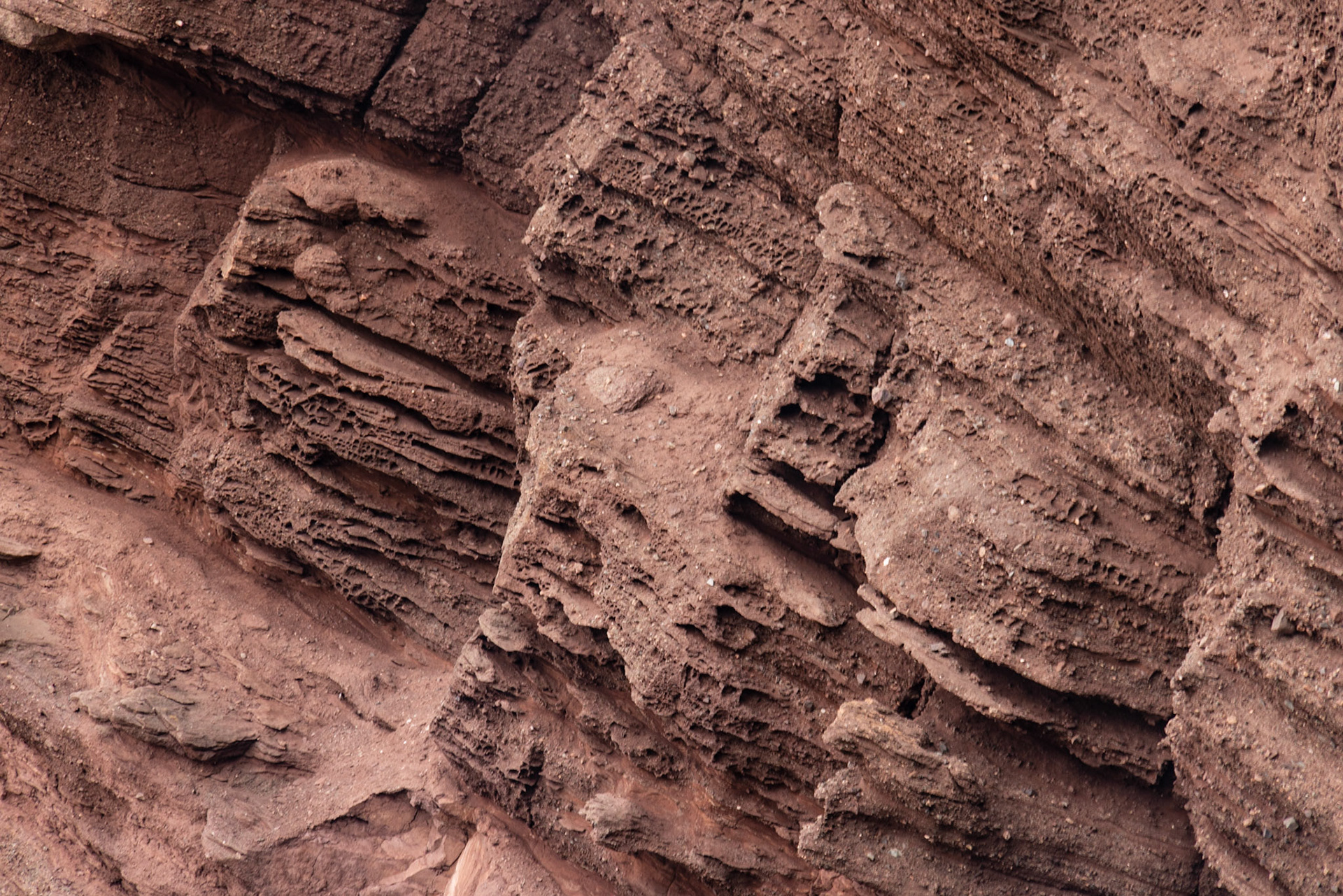 Hopewell Rocks PP, New Brunswick