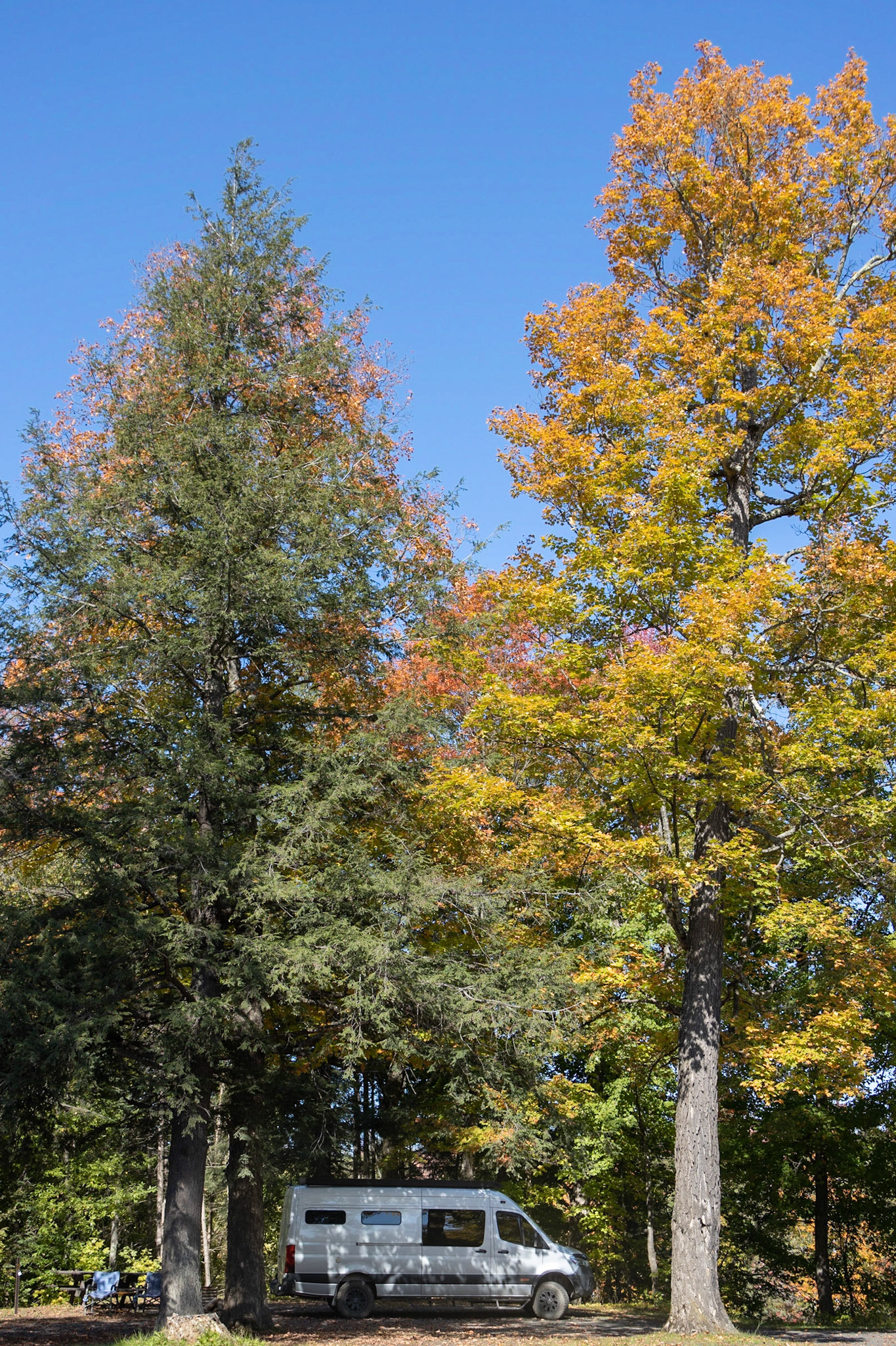 Big Eric's Bridge SF CG UP MI