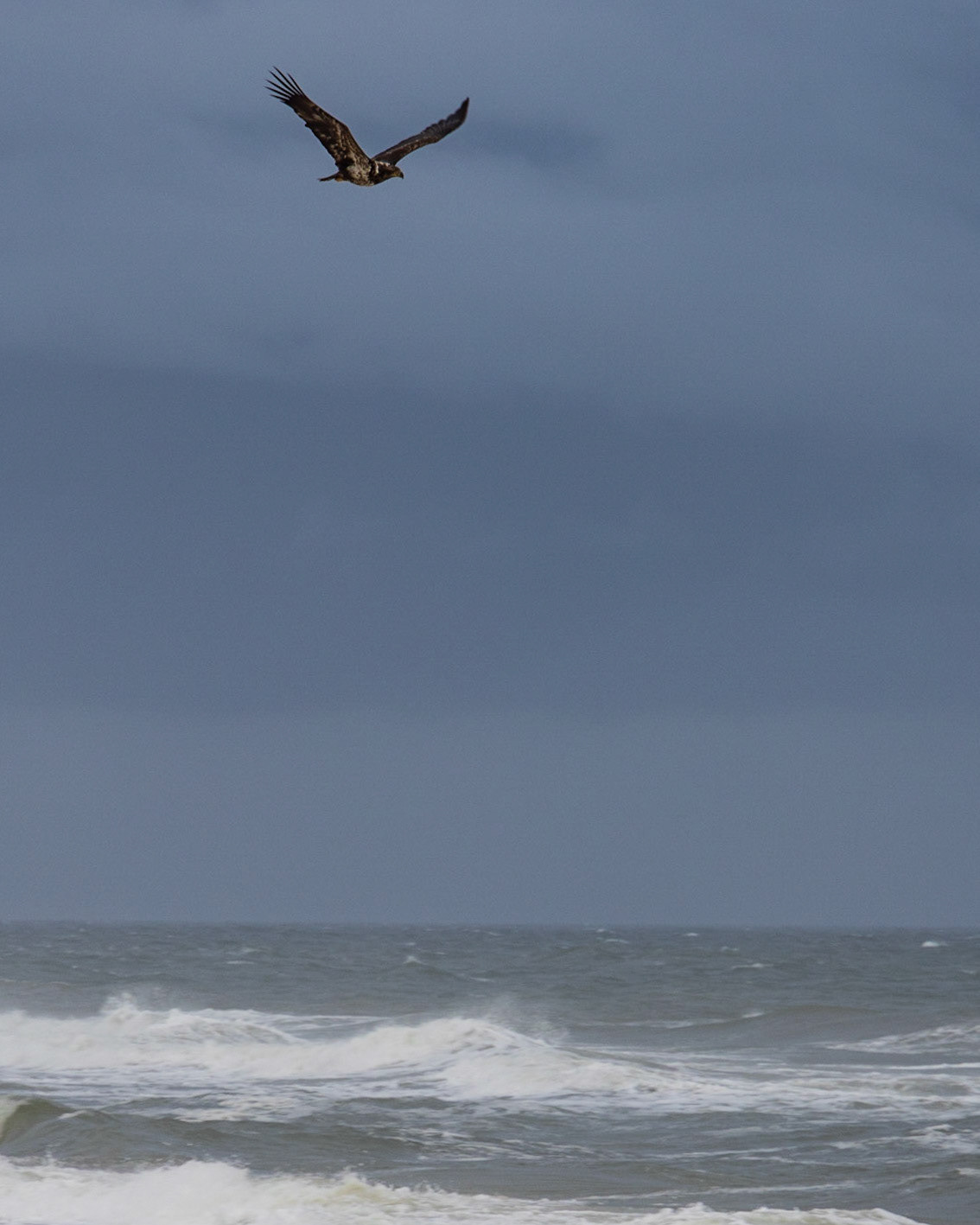 Saint George Island SP,FL