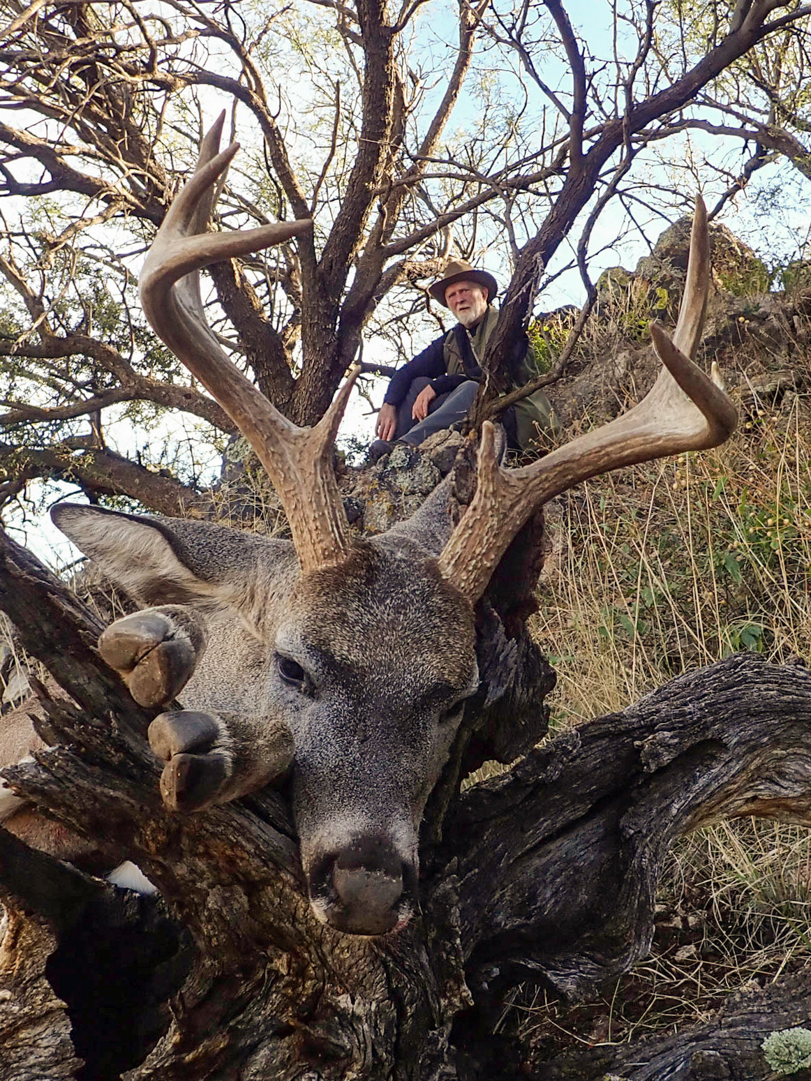 Coronado NF, Arizona