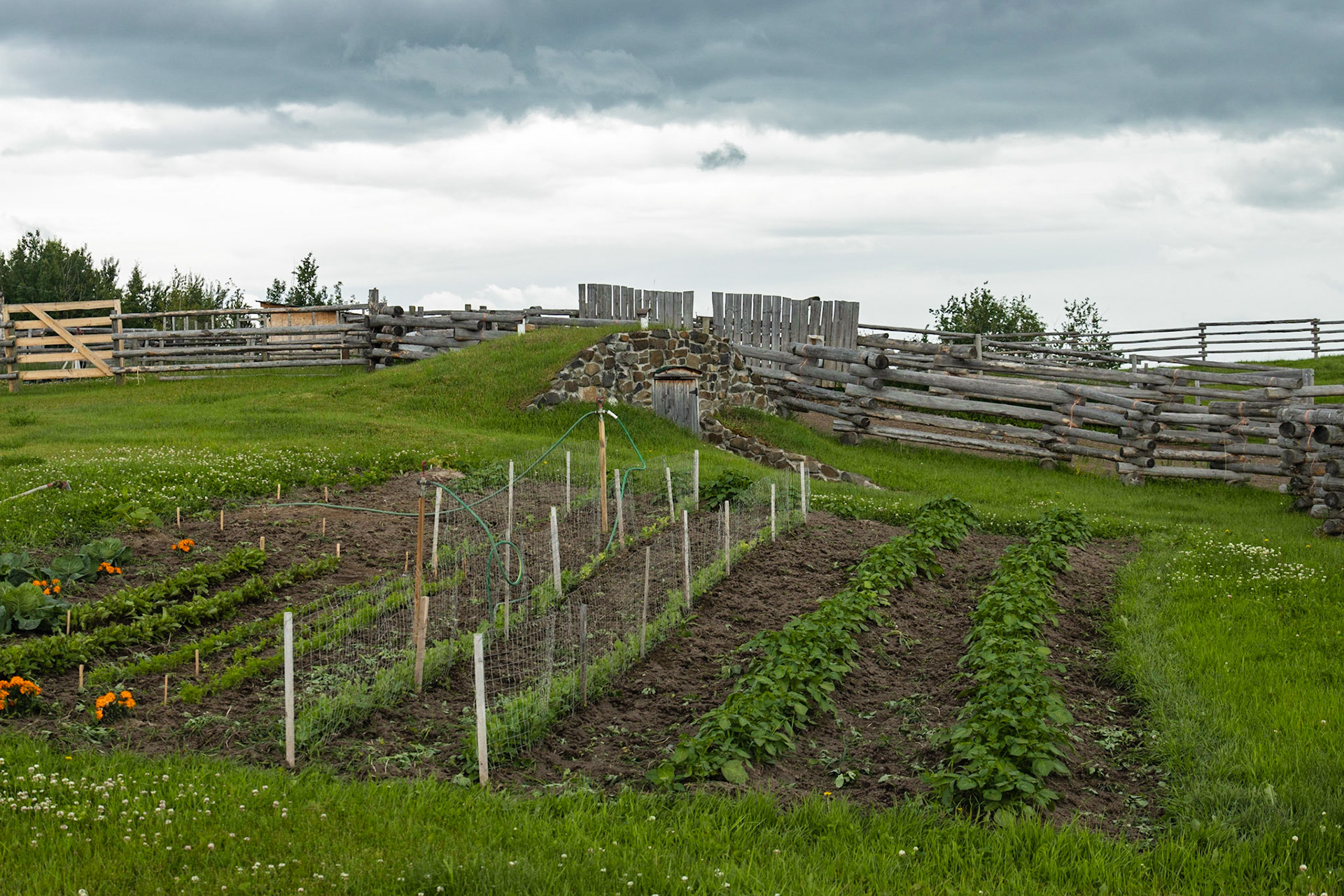 Rita and Clayton Steffey, Vanderhoof BC