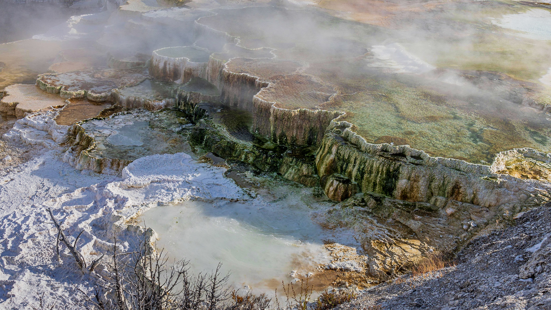 Mammoth Hot Springs, Yellowstone NP WY