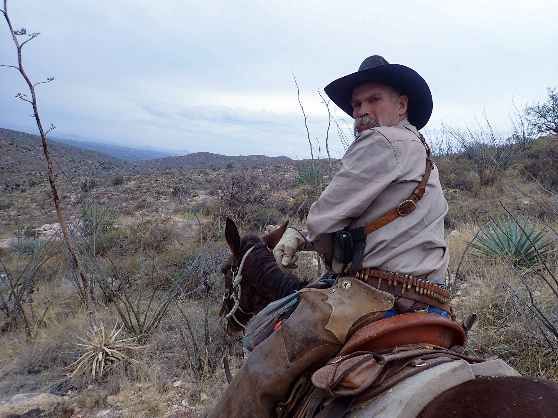 Coronado NF, Rincon MT Wilderness, AZ
