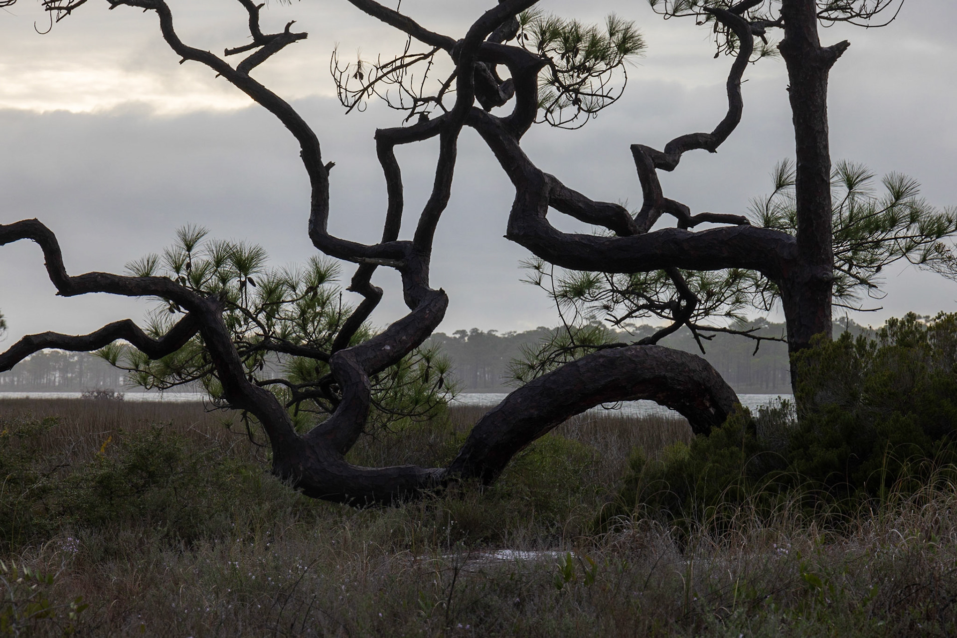 Saint George Island SP,FL