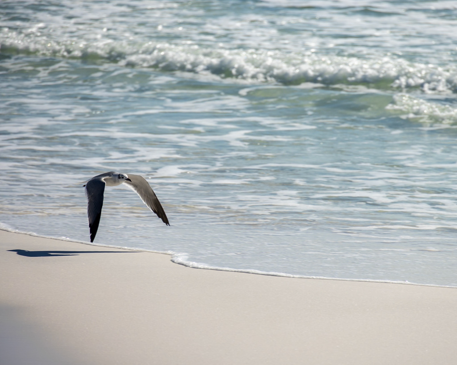 Top Sail Preserve, Santa Rosa Beach FL