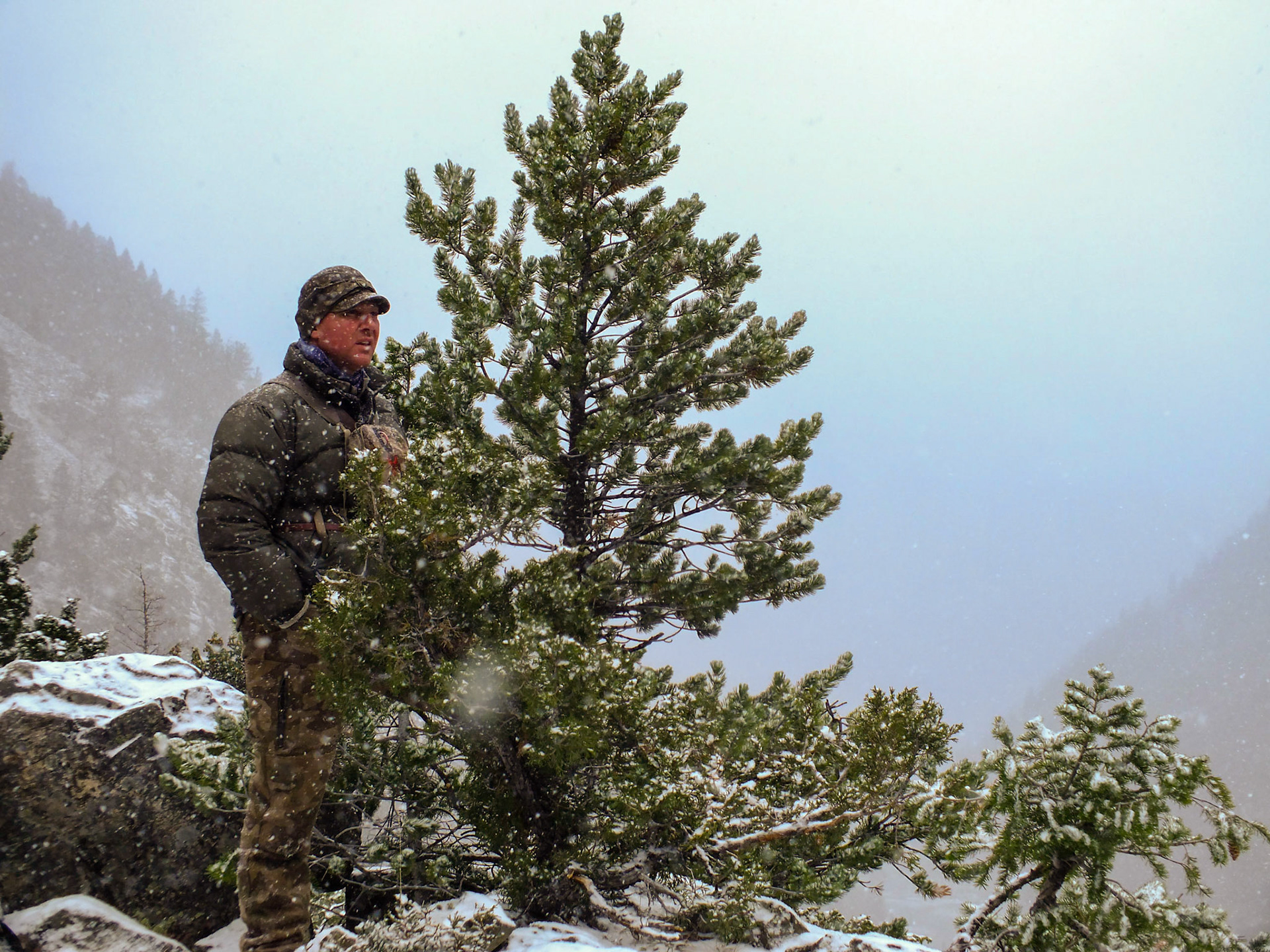 Shoshonee Willderness, WY