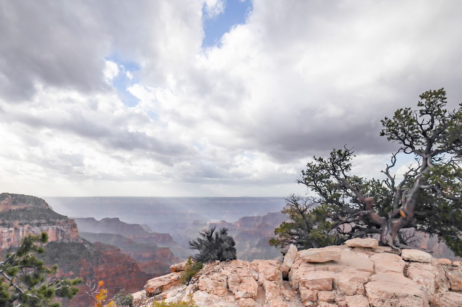 North Rim, Grand Canyon NP AZ