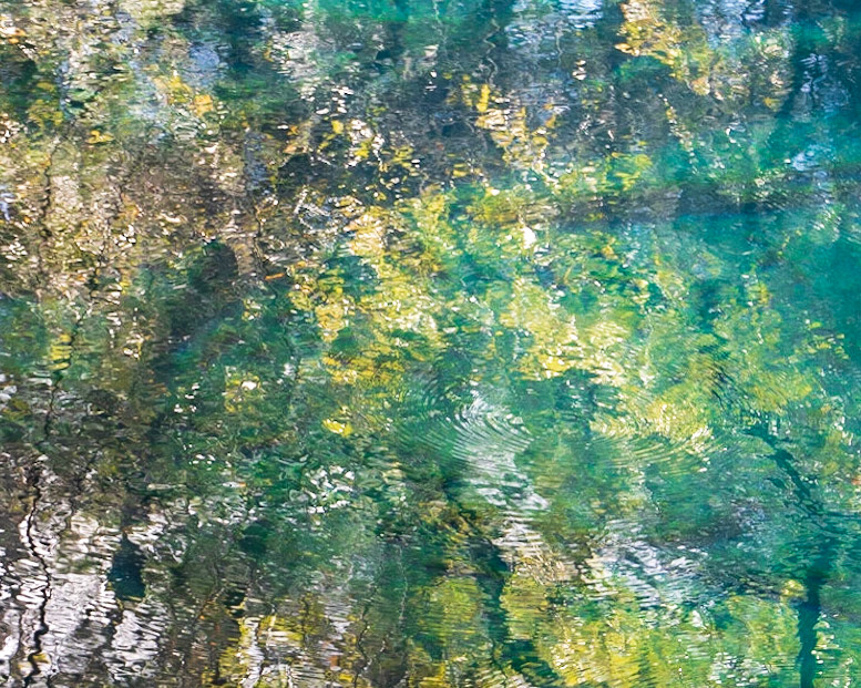 Leon Sinks Geological Area, FL