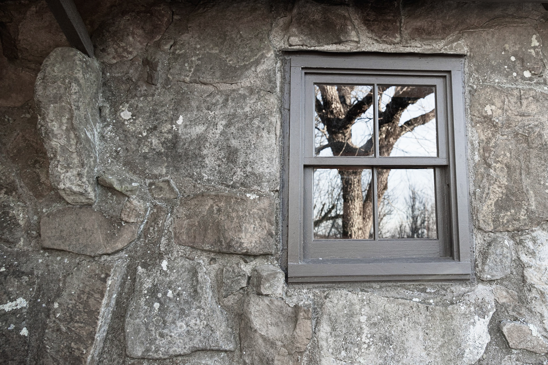 CE Foster 'Wonder House'