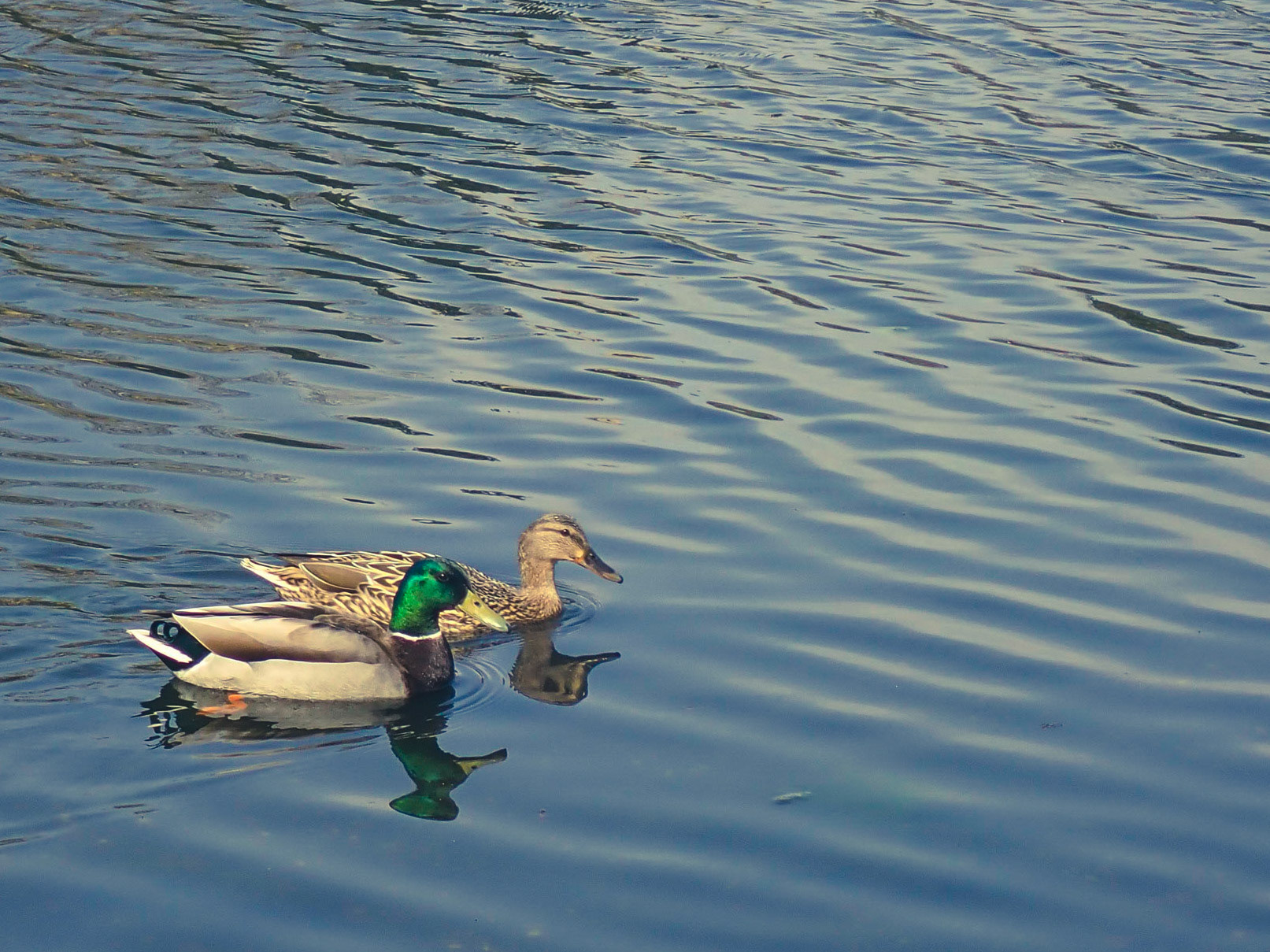 Wade Park, Cleveland OH