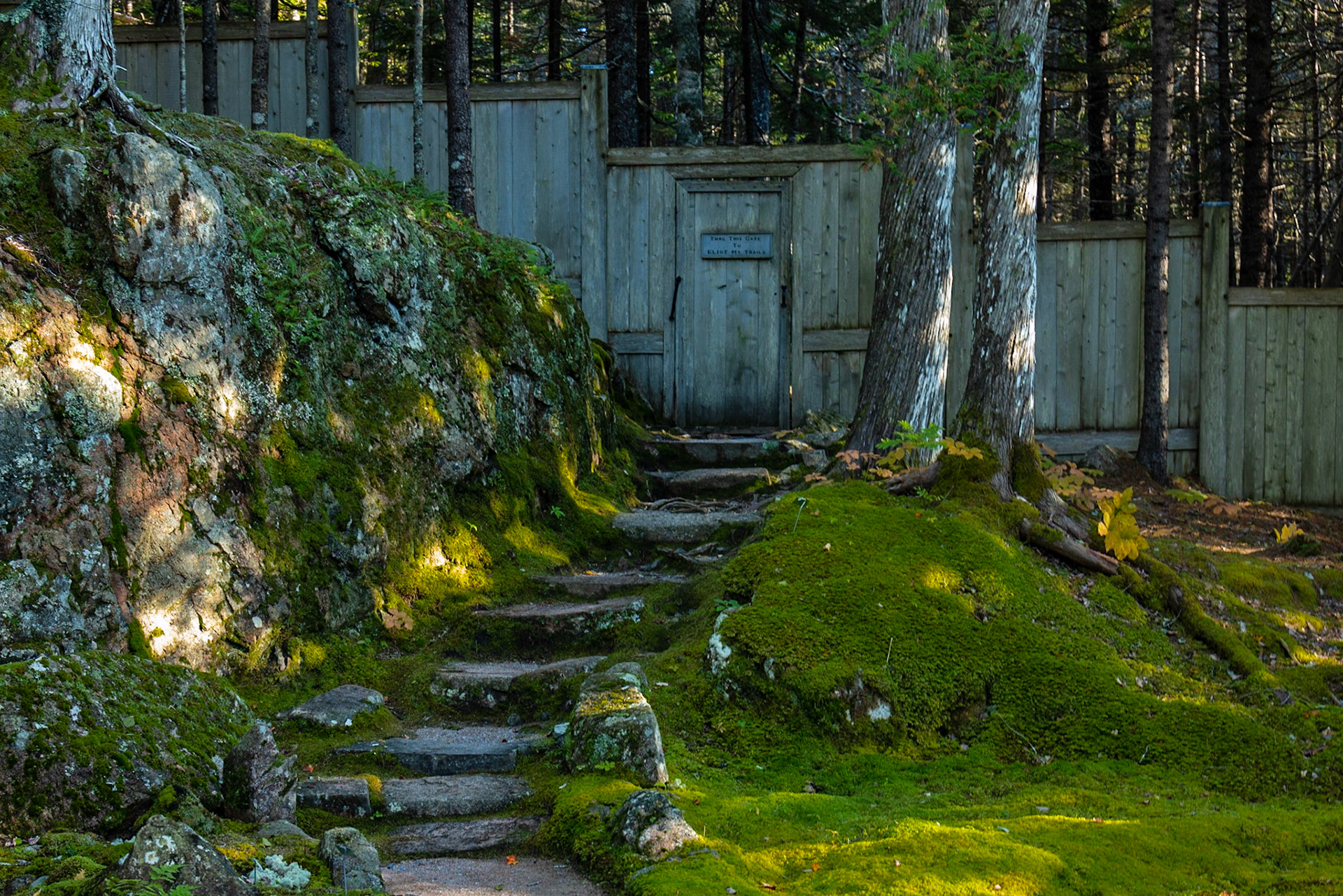 Thuya Garden, Asticou ME