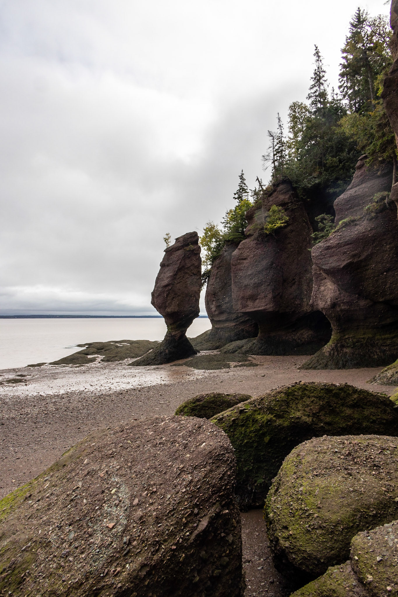Hopewell Rocks PP, New Brunswick