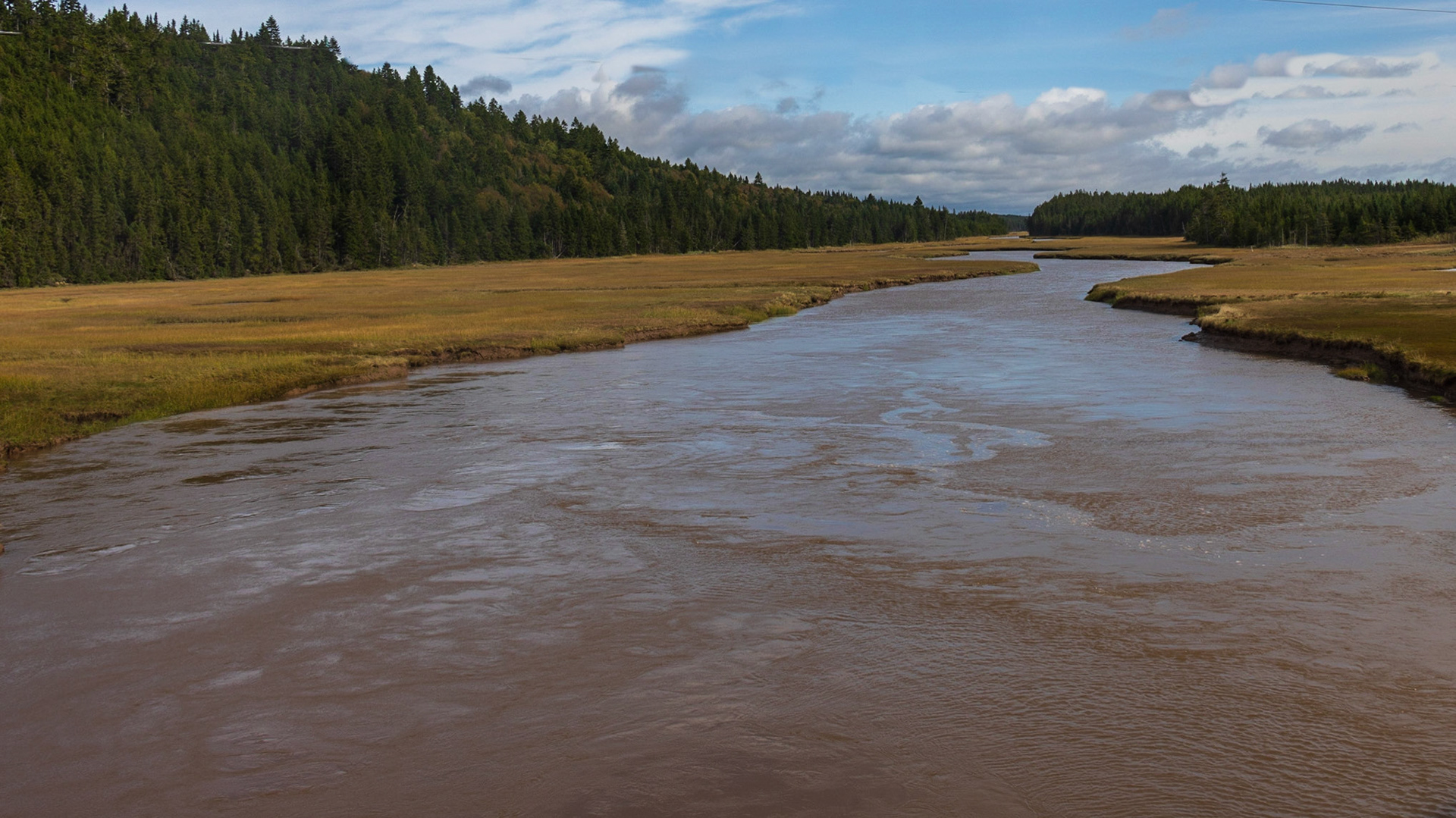Cape Enrage Nature Preserve, NL