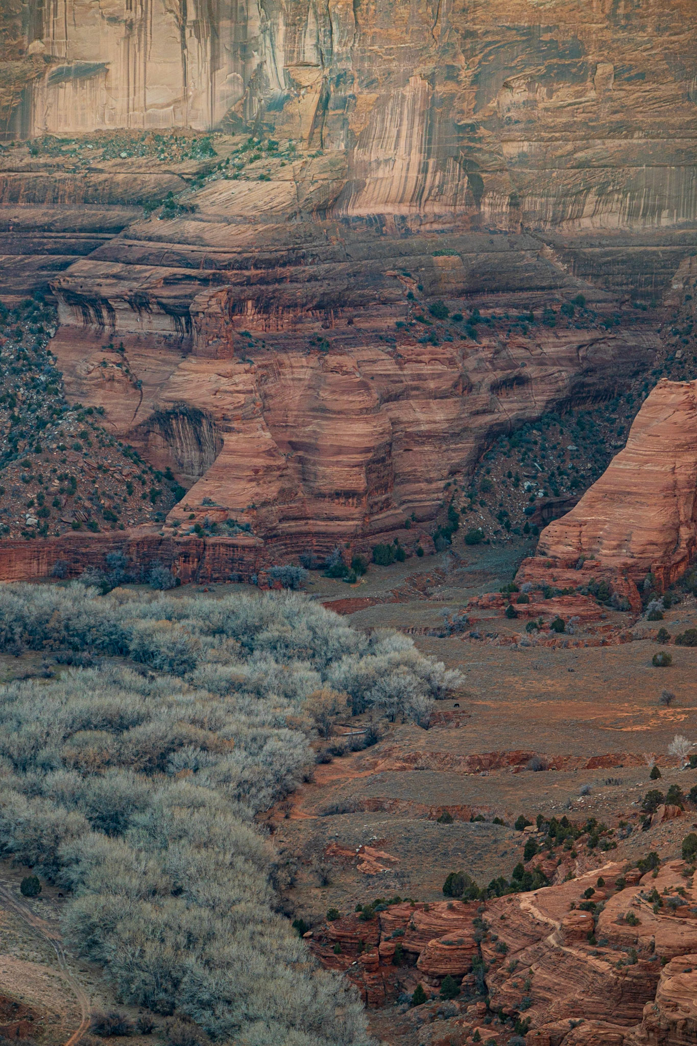 Canyon de Chelly, AZ