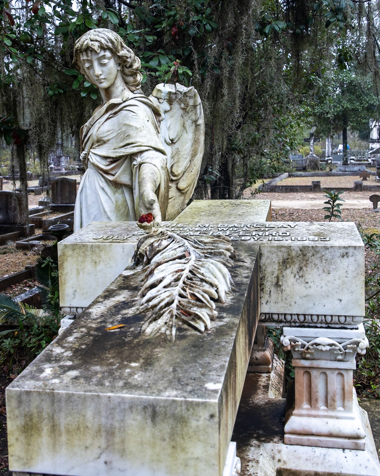 Bonaventure Cemetery, Savannah GA