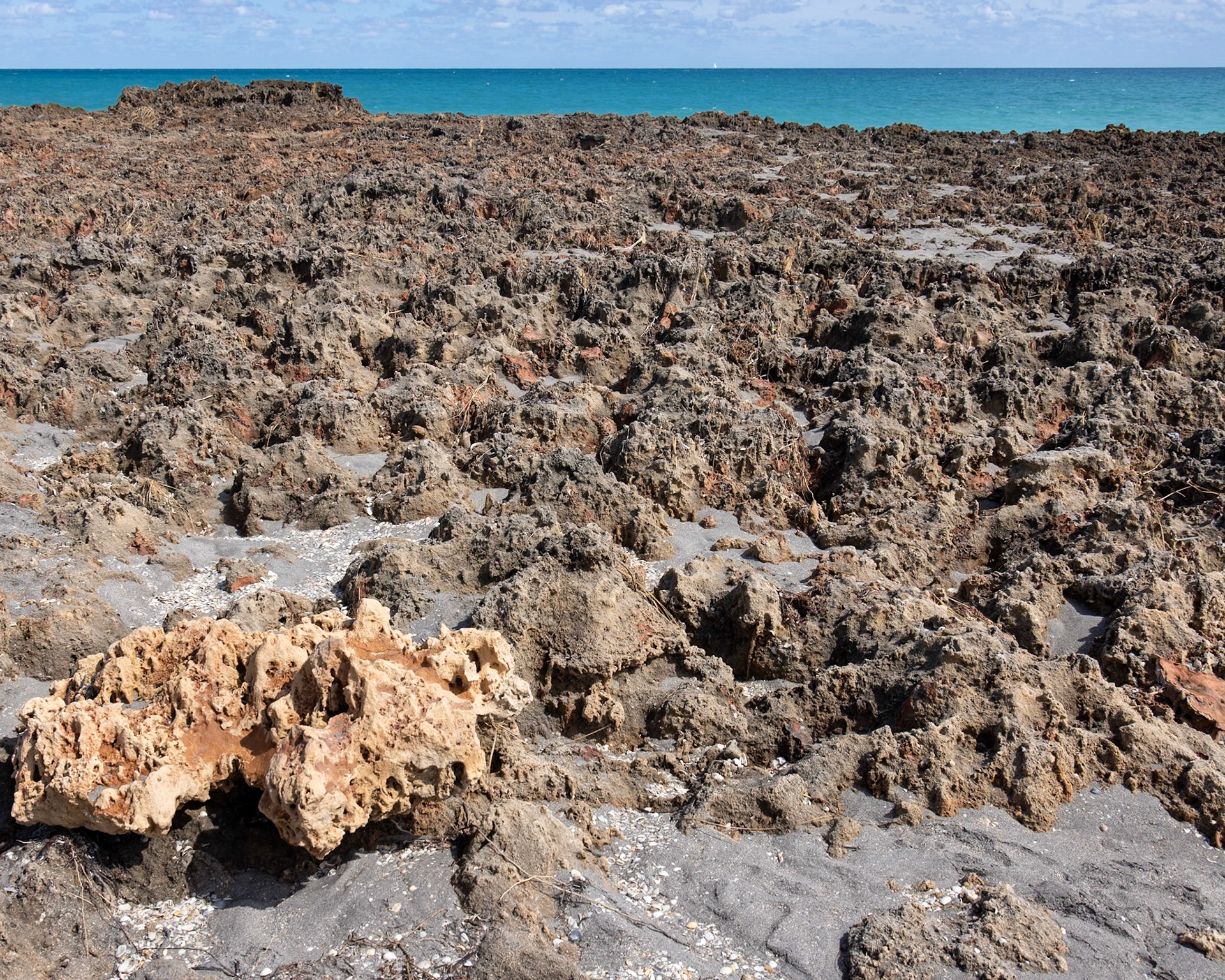 Blowing Rocks Nature Preserve, Tequesta FL