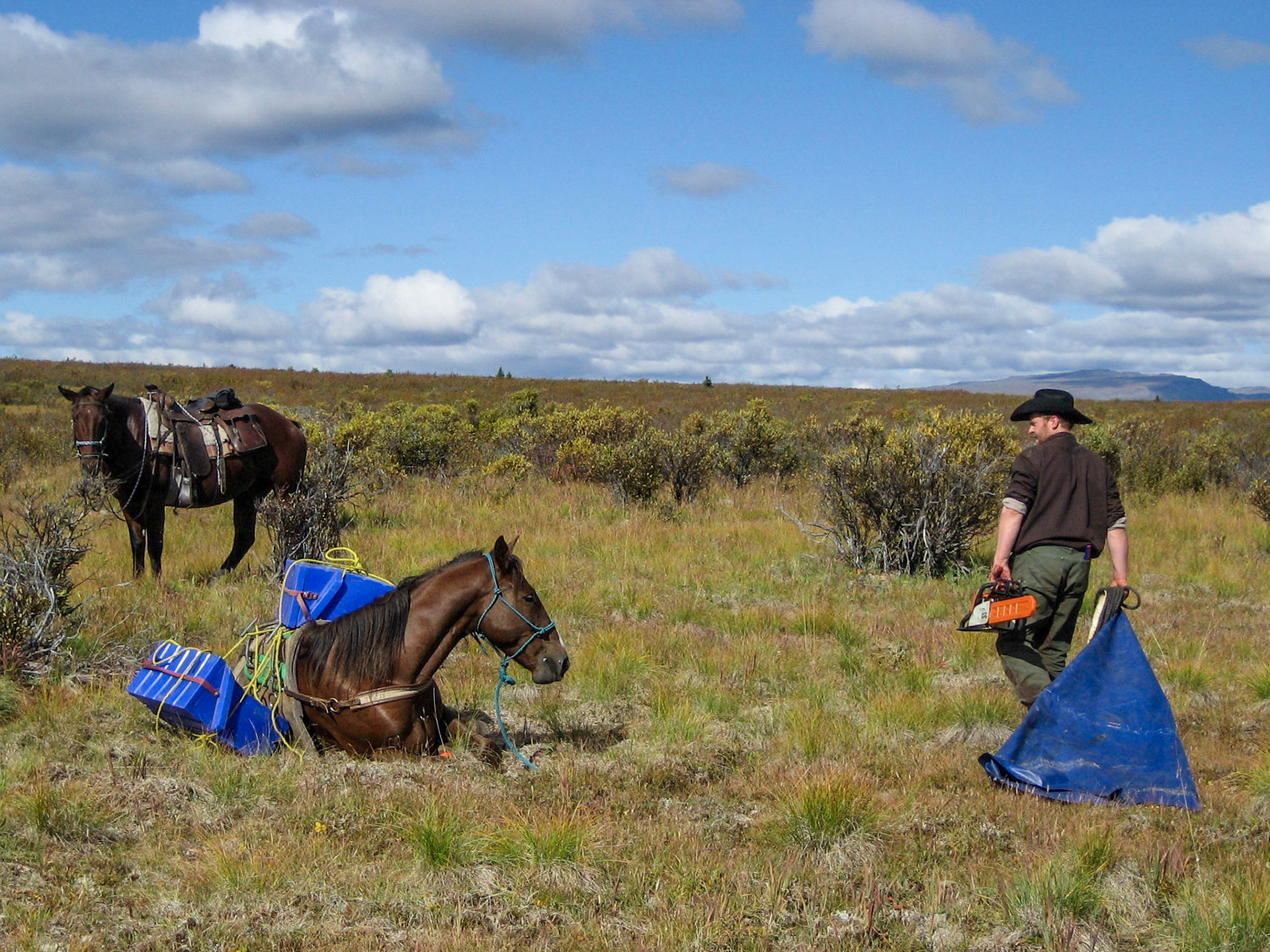 Level Mountain BC CA