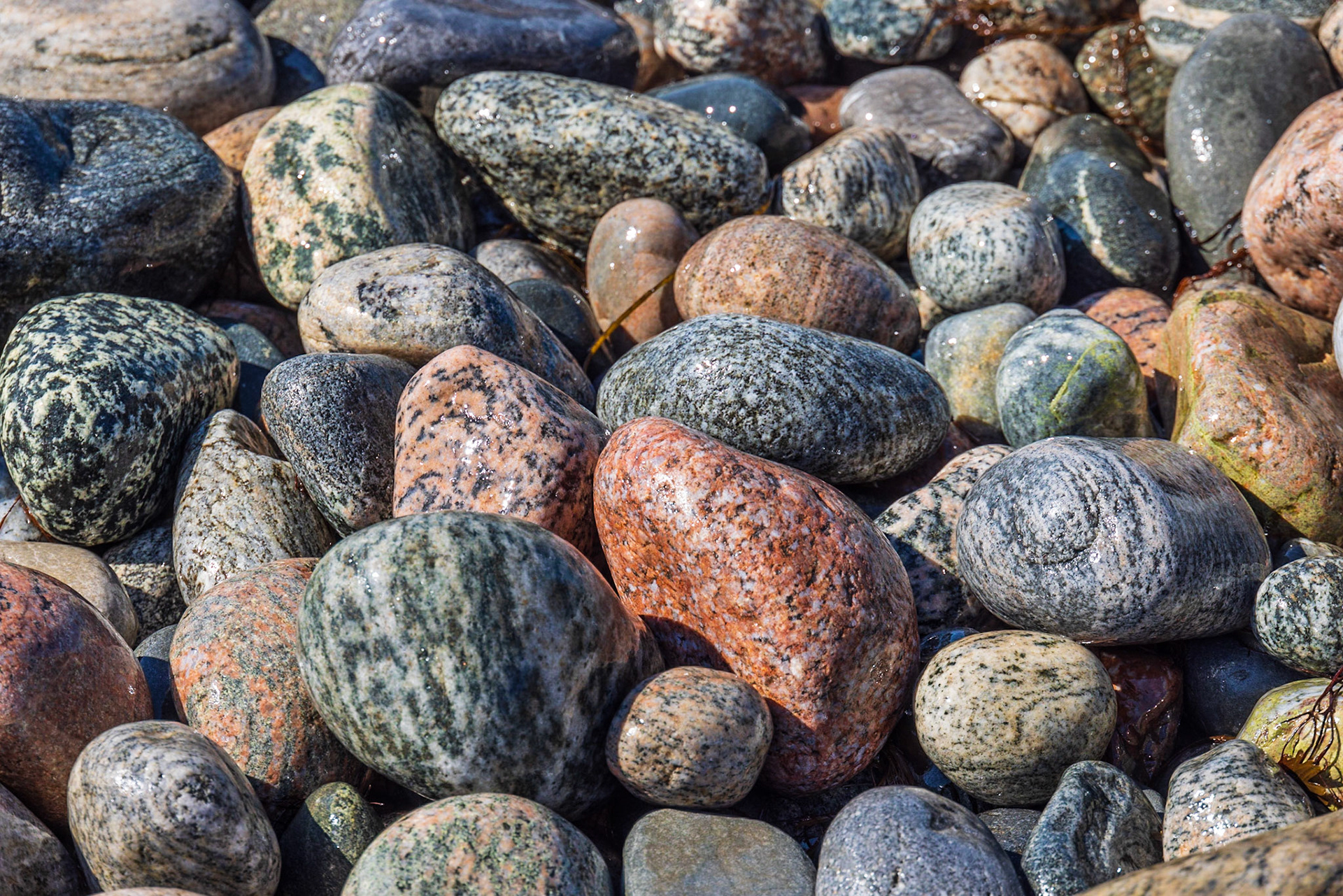 The Arches Provincial Park, NL