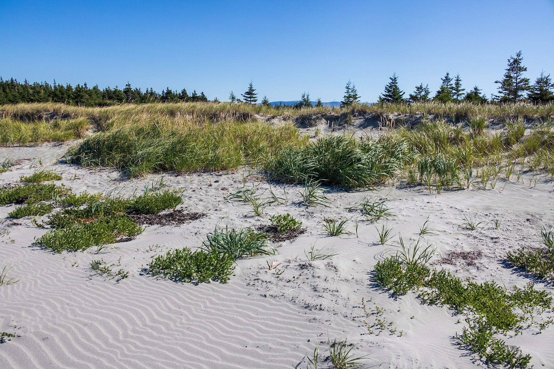 Shallow Bay Beach, NL