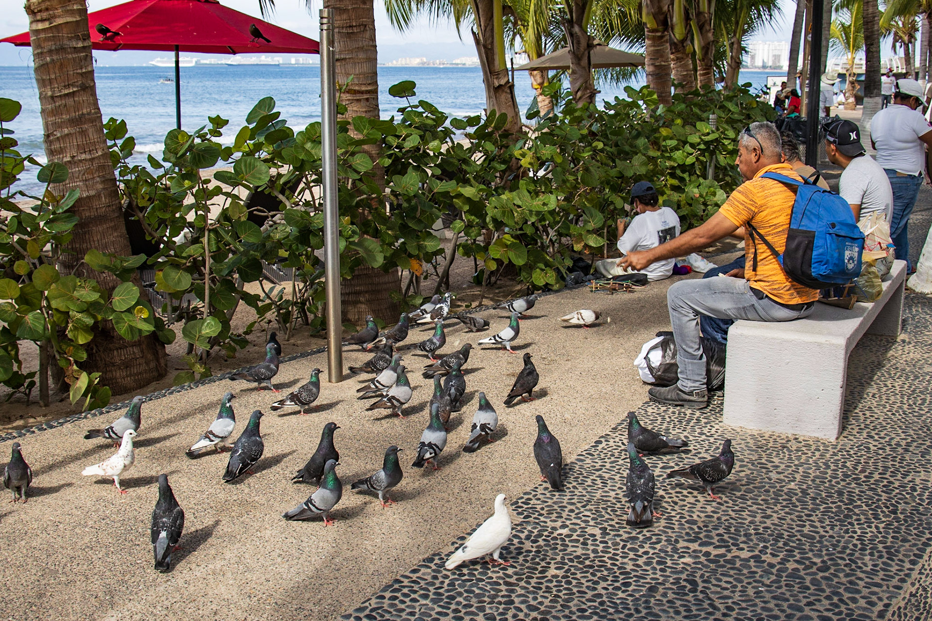 Downtown Puerto Vallarta Mexico