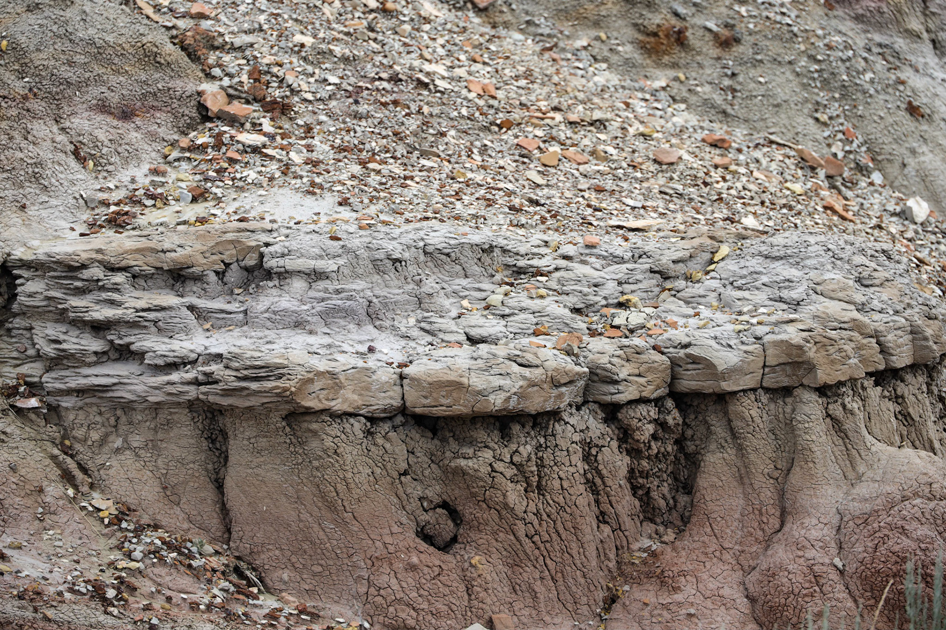 Theodore Roosevelt NP, South Unit, ND