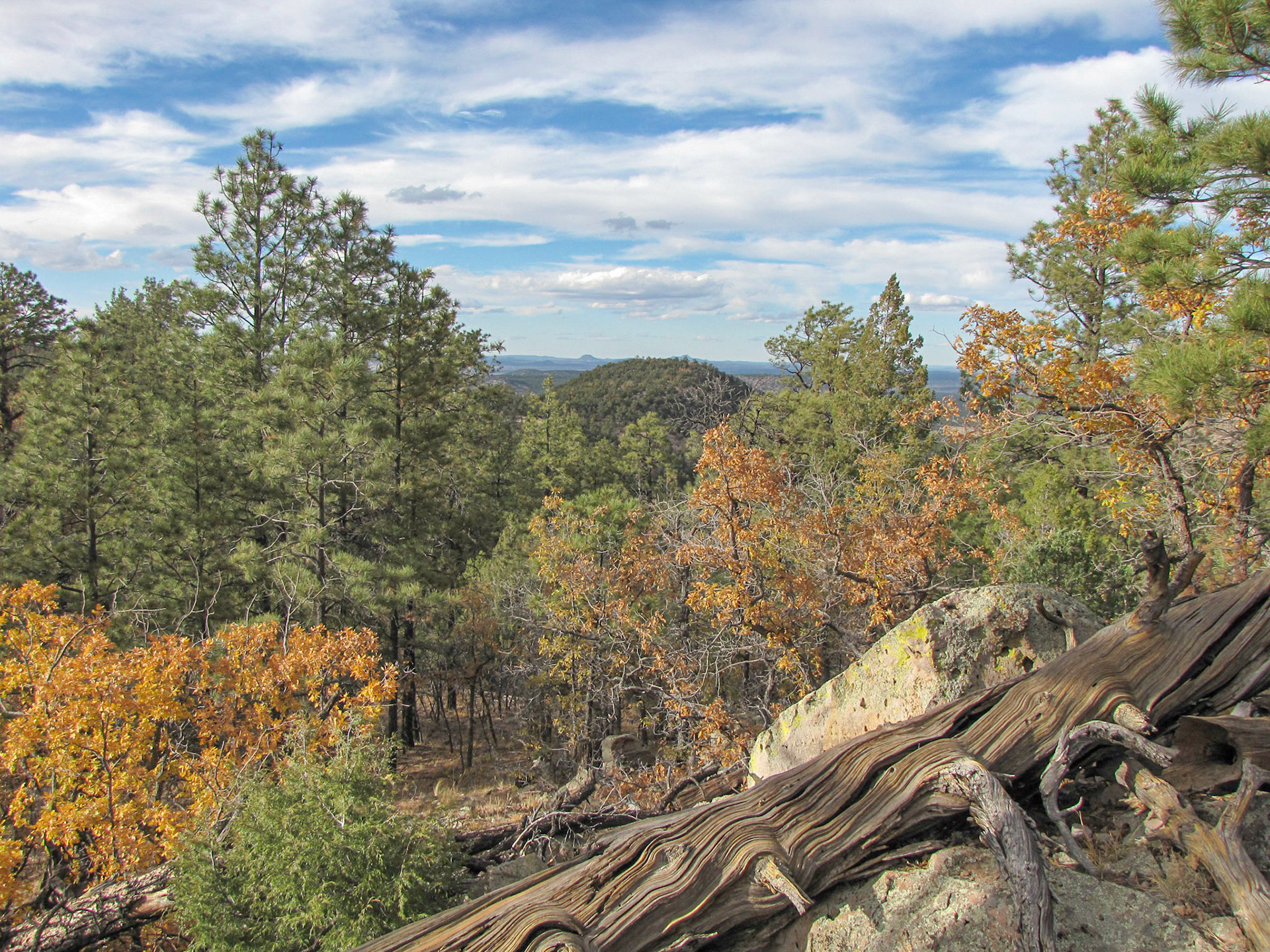 Vista Allegre, New Mexico