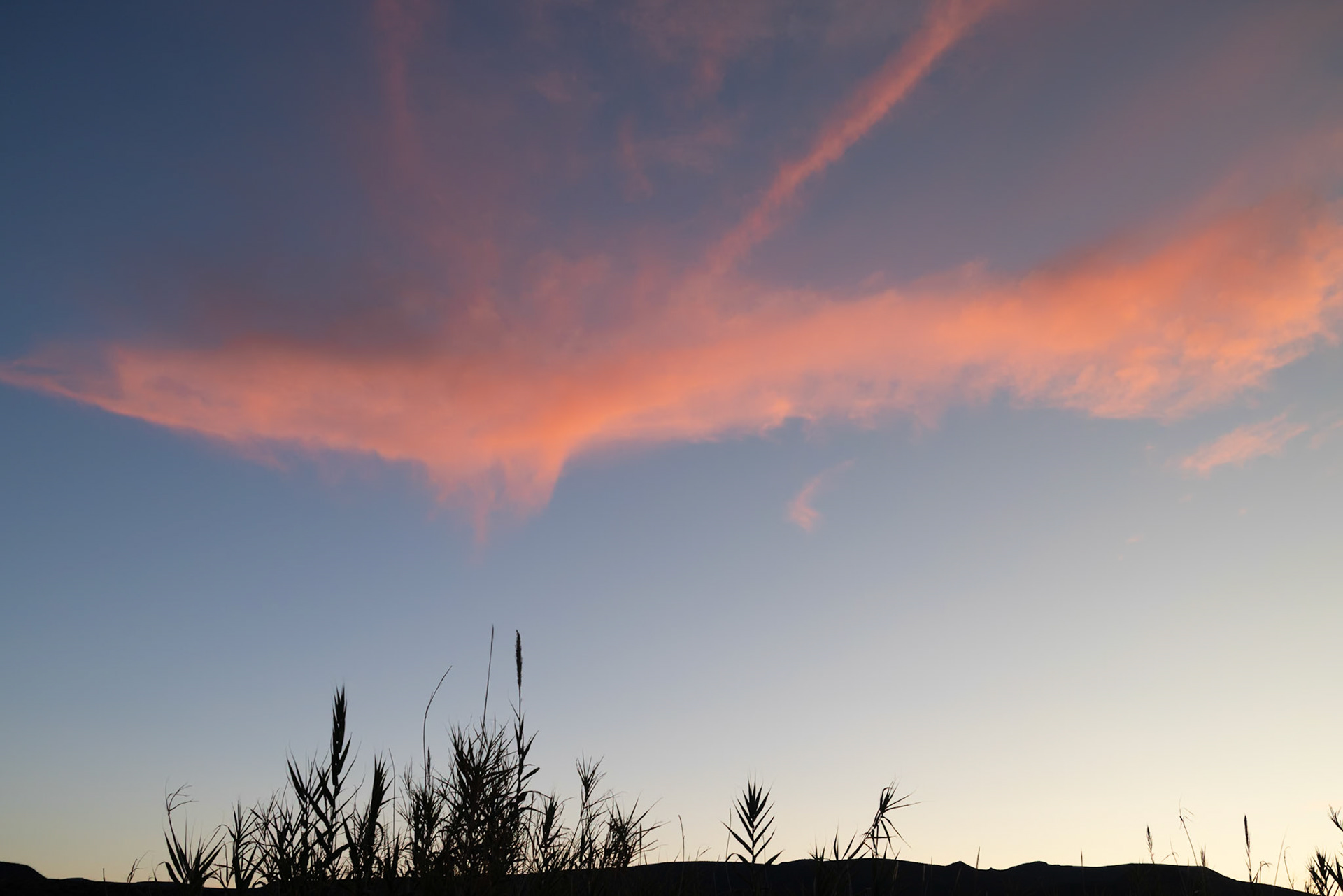 The Pads CG, Ryan CA