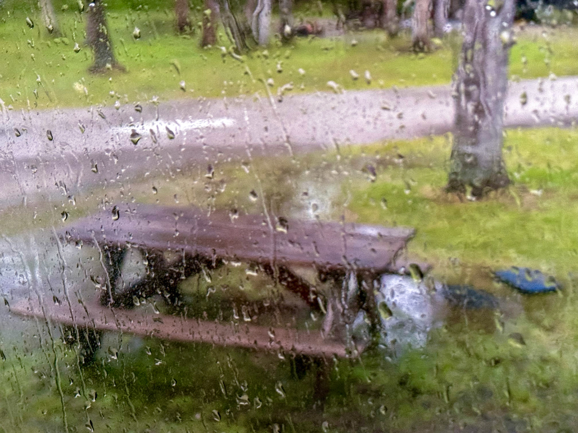 Collier Seminole SP CG