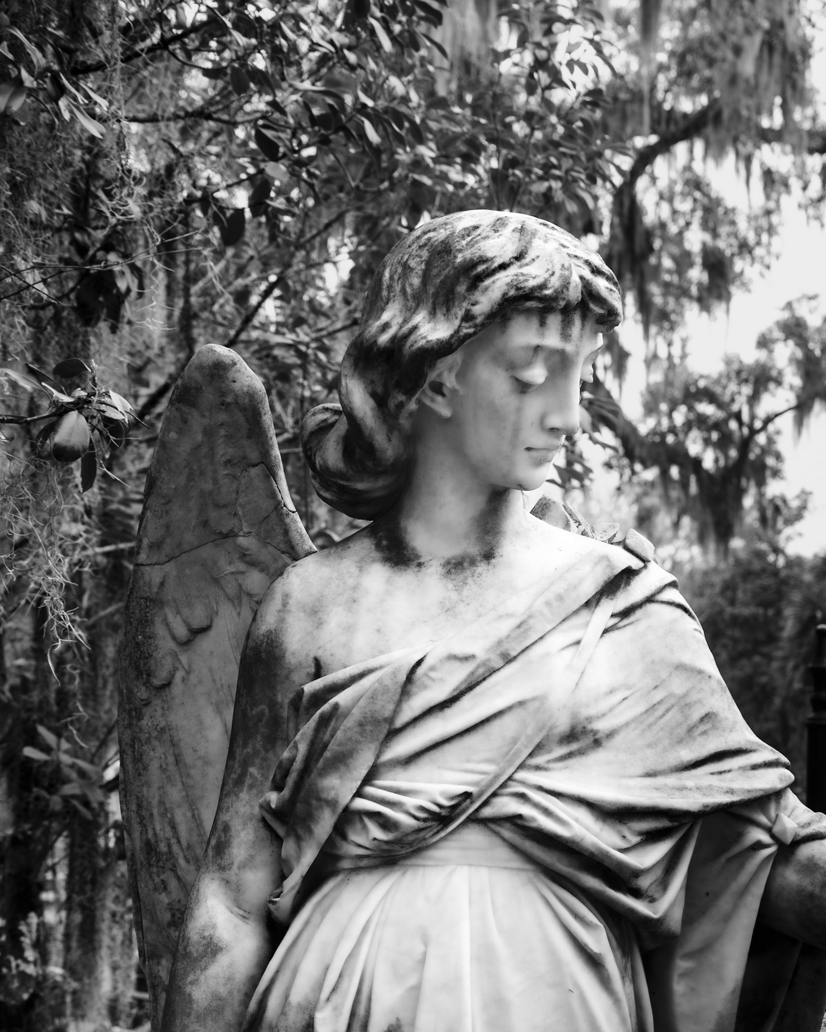 Bonaventure Cemetery, Savannah GA