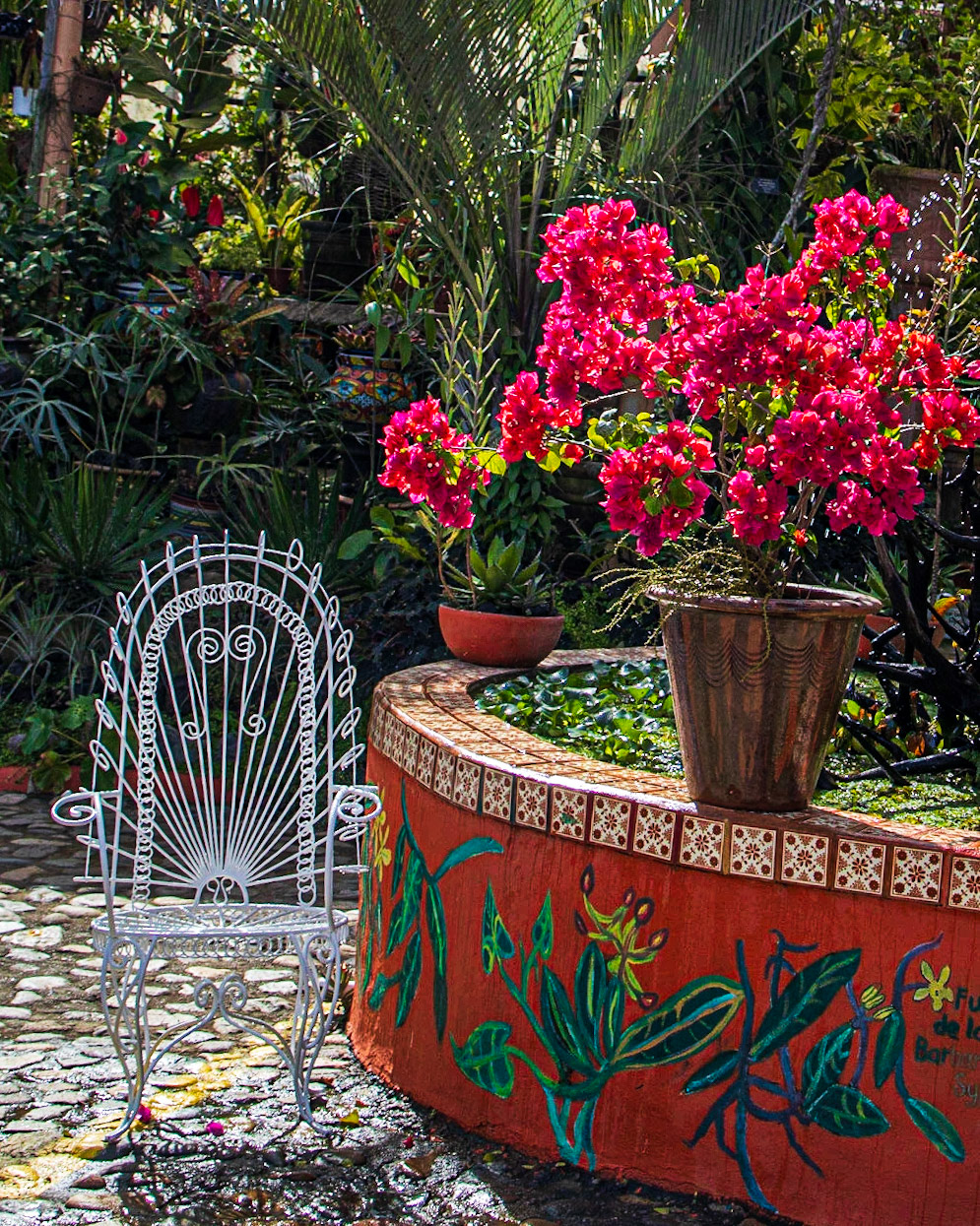 Vallata Botanical Garden, Jalisca Mexico