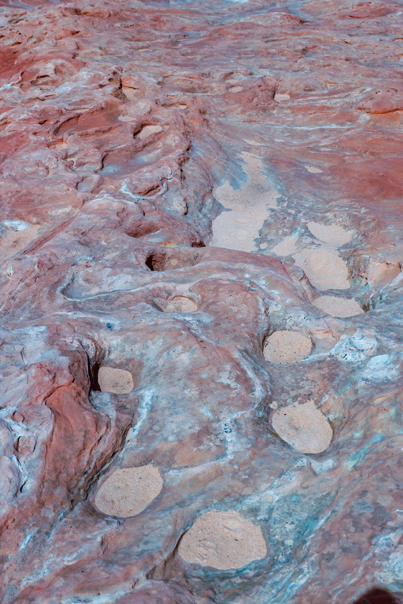 White Pockets, Vermillion Cliffs AZ