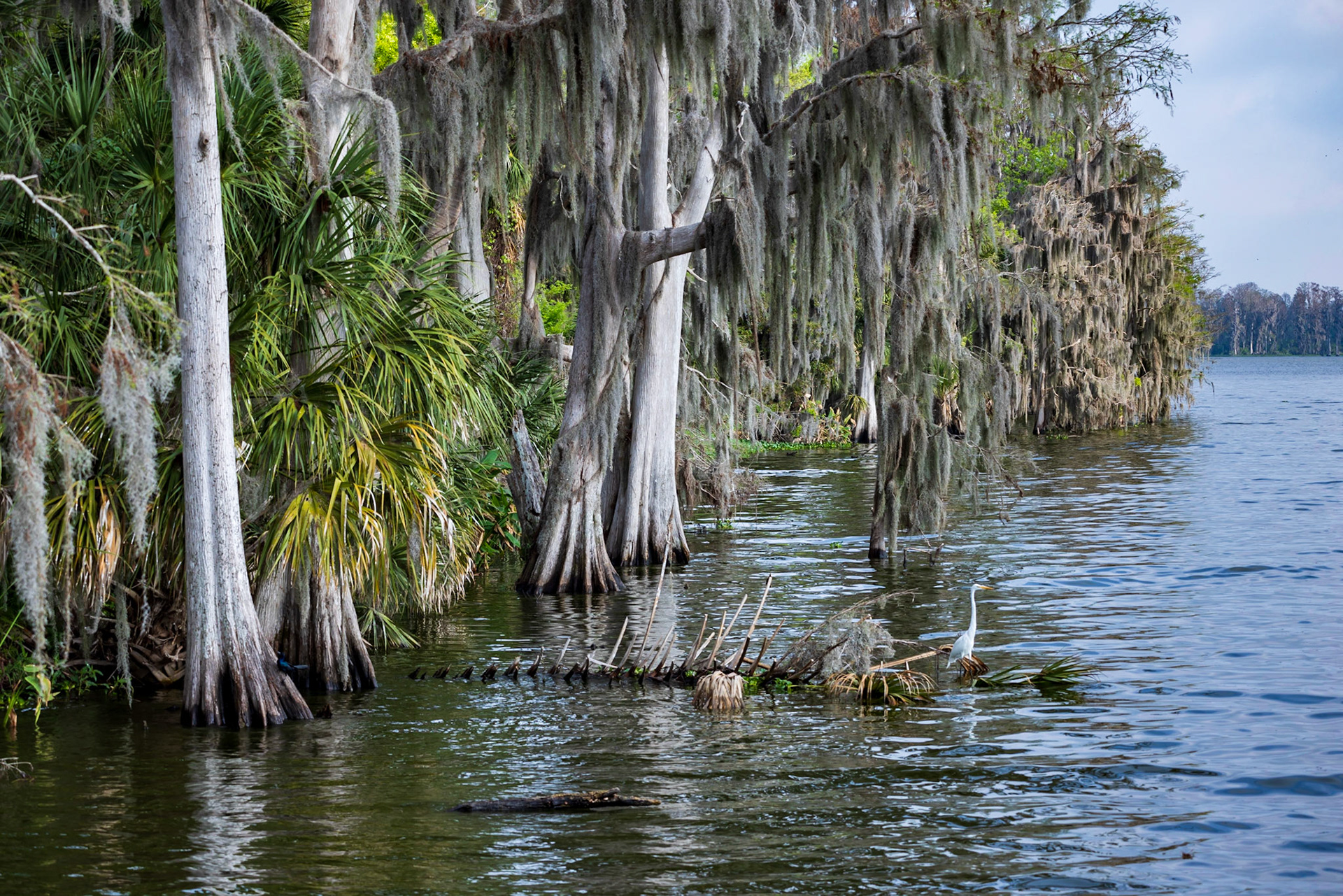 Circle B Bar Reserve FL
