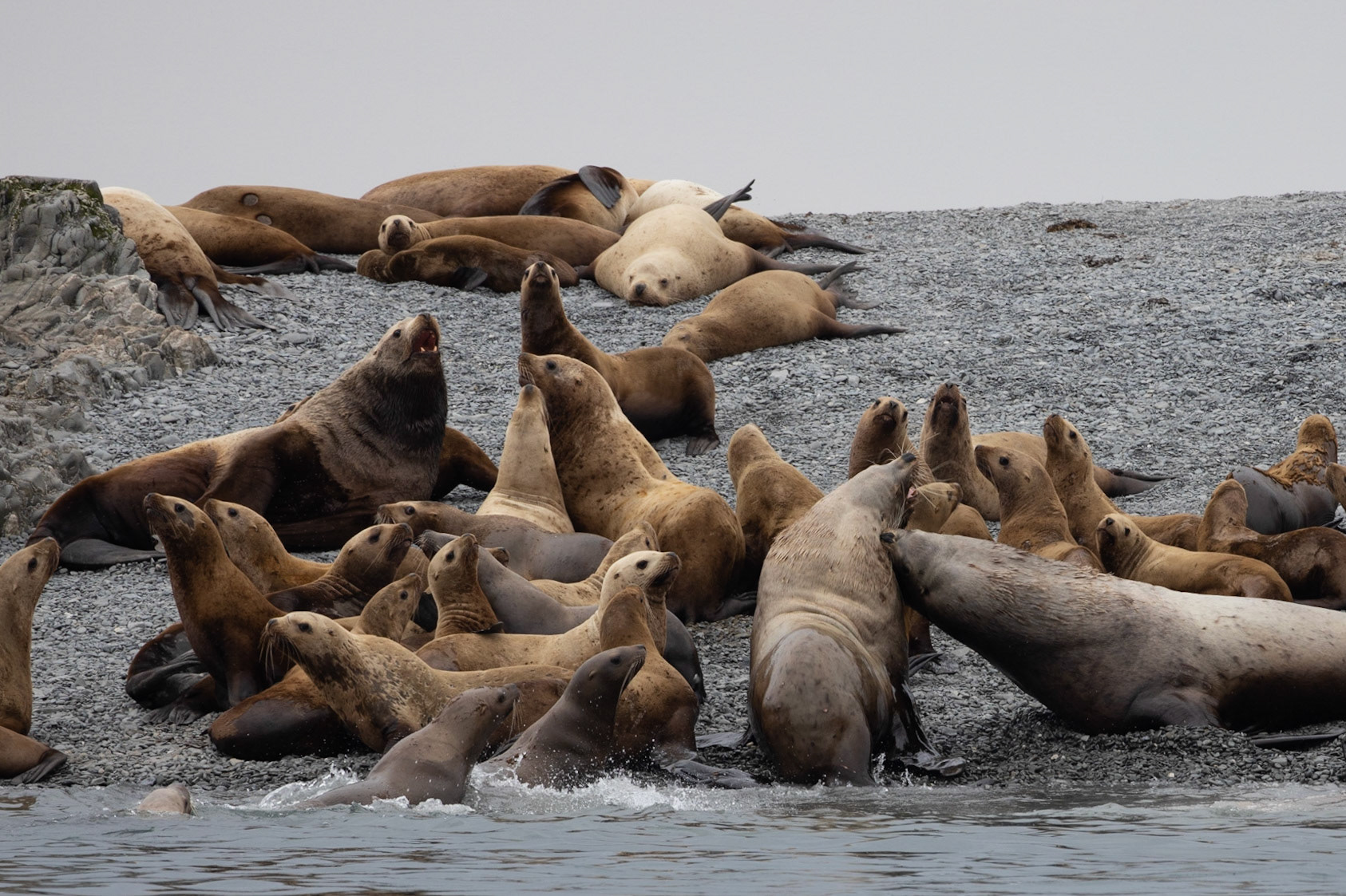 Prince William Sound AK