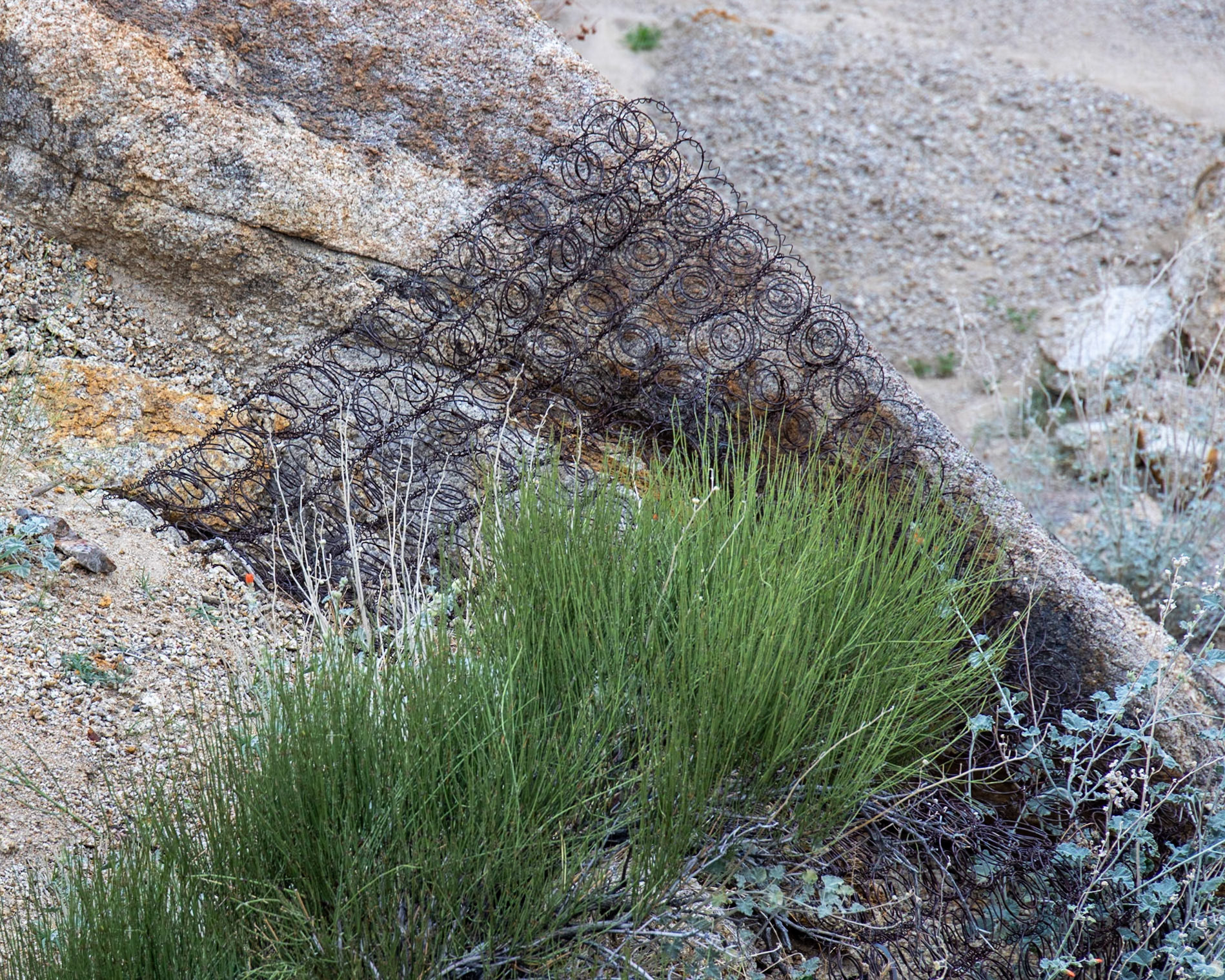 Alabama Hills, Lone Pine CA