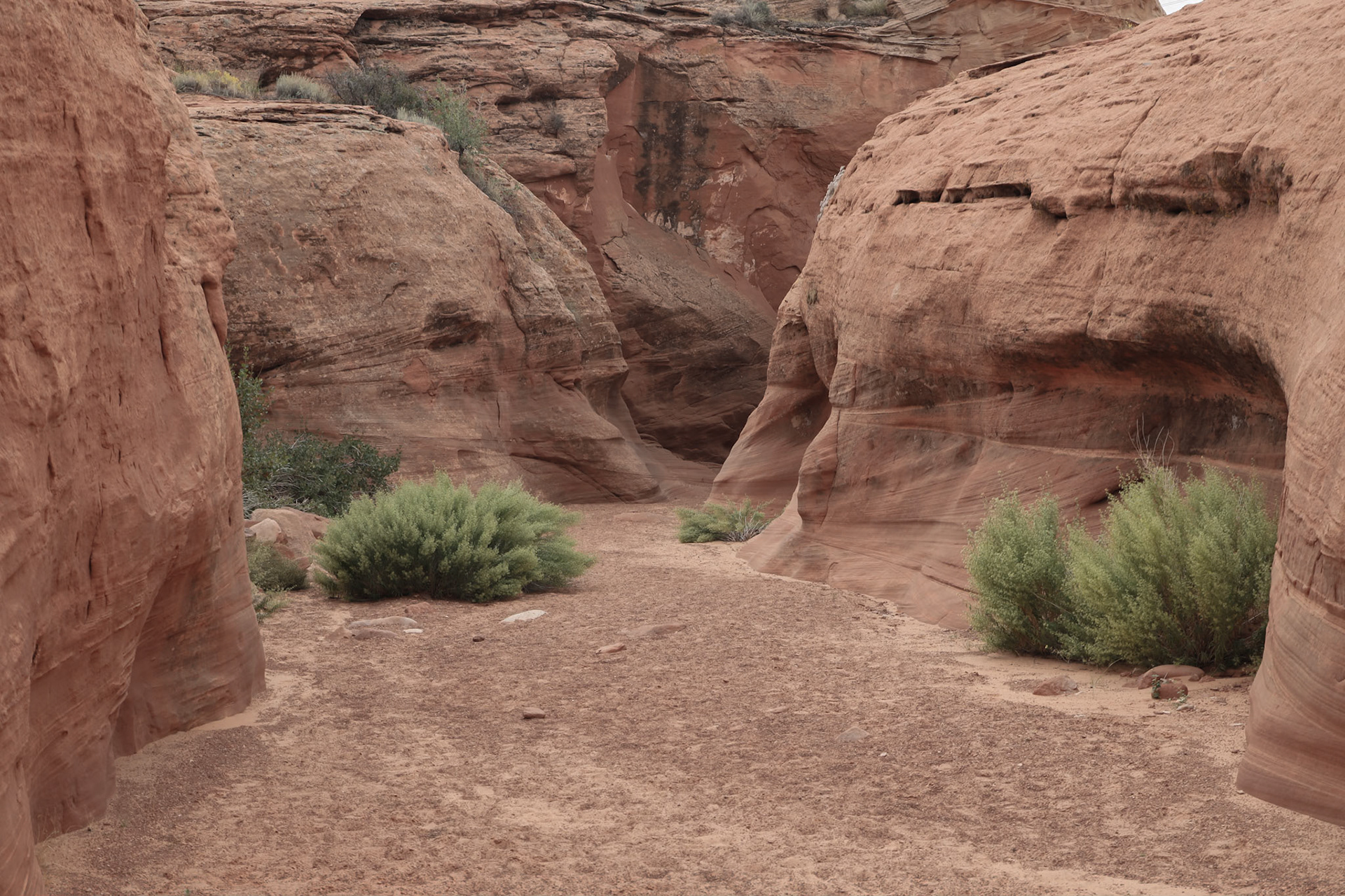 Waterholes Slot Canyon, Page AZ