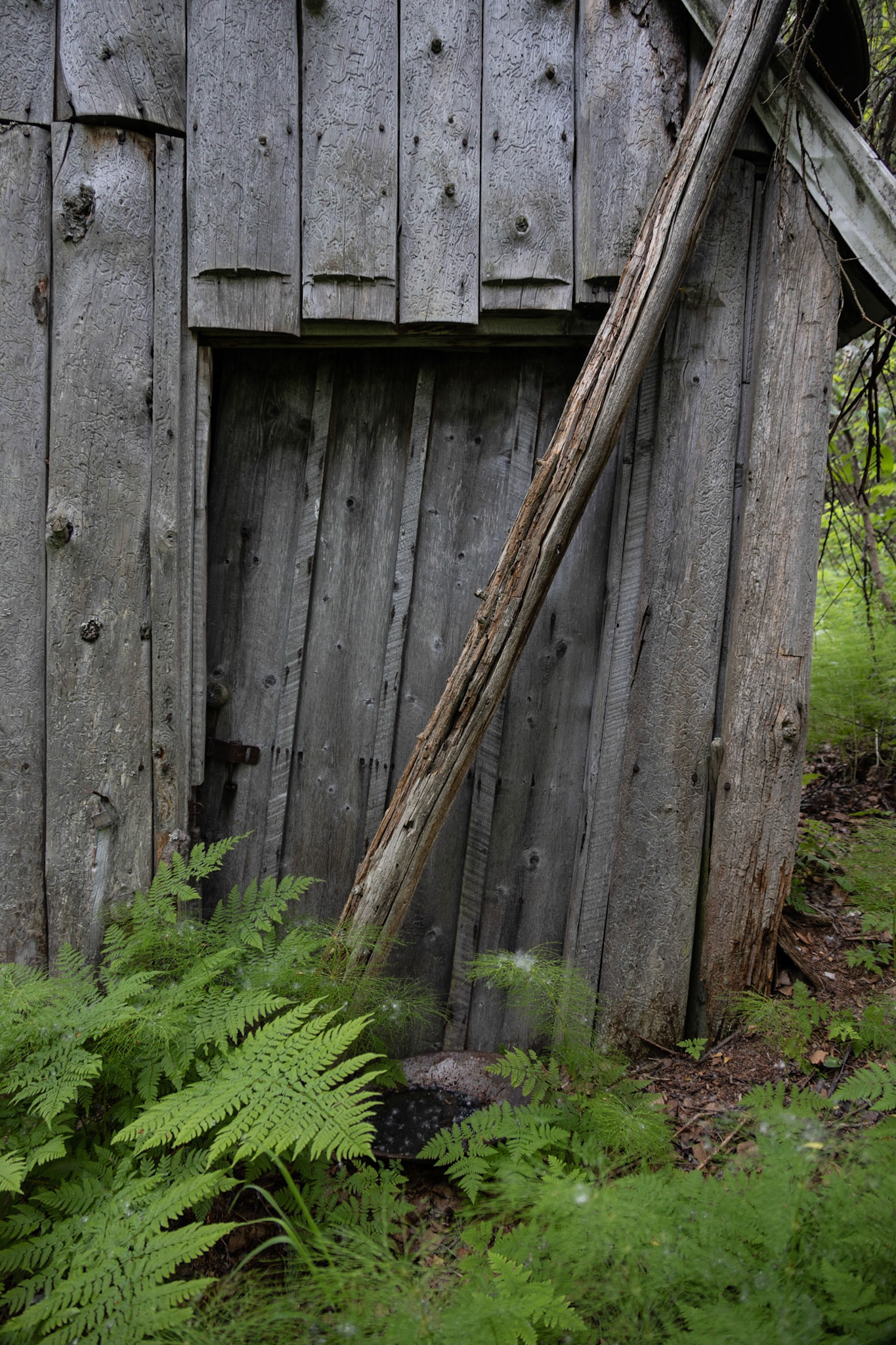 Bowman Mining Camp Trip, Lake Clark, AK