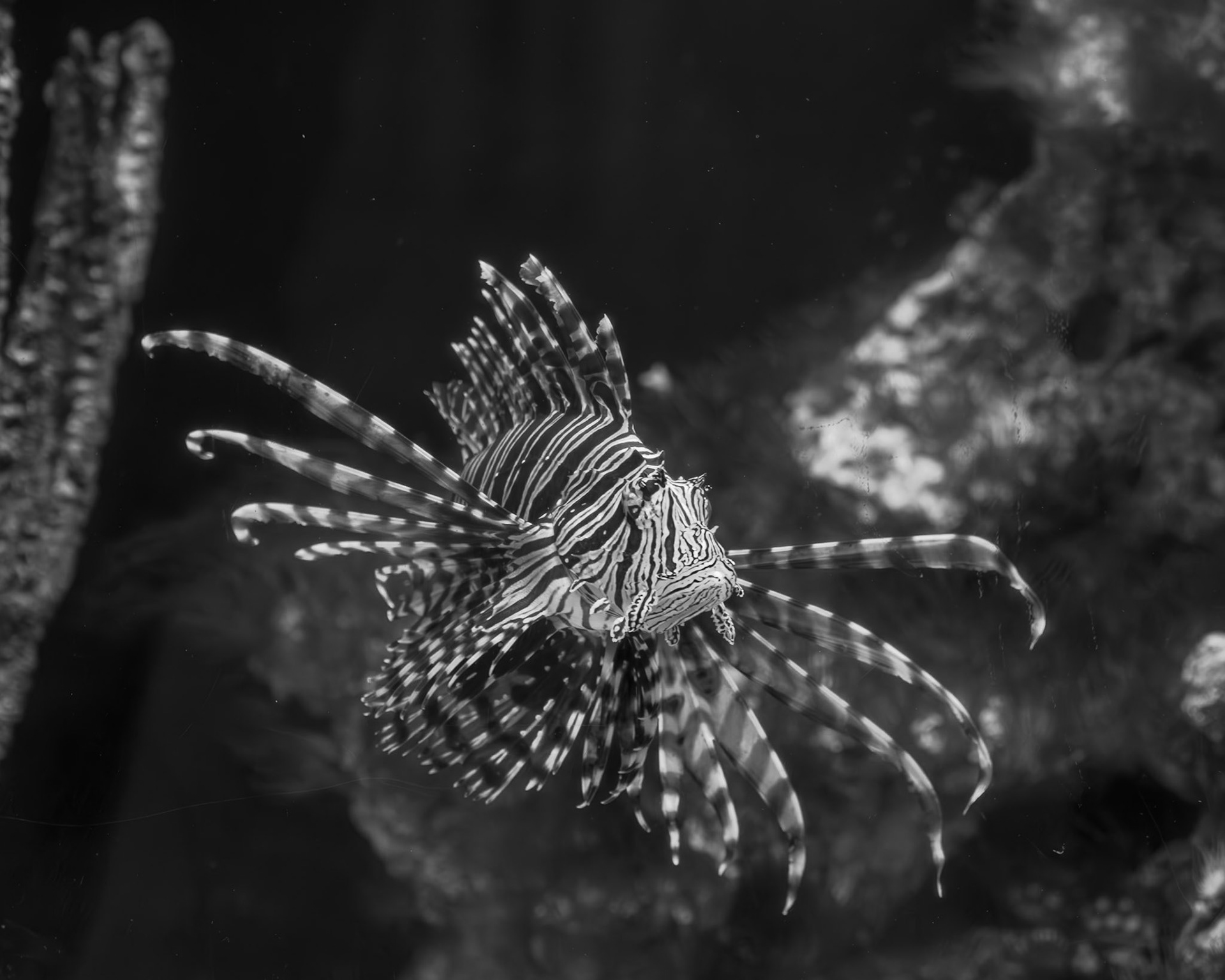 Marine Science Center, Ponce  Inlet FL