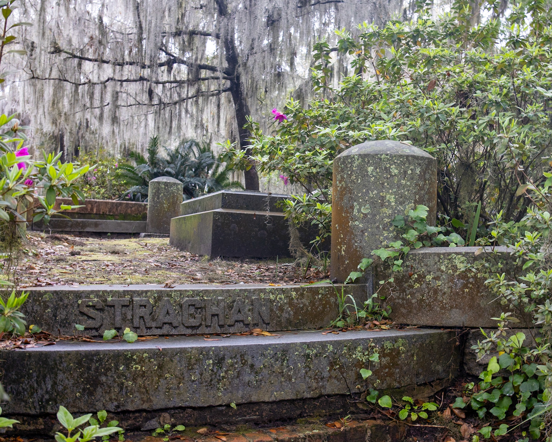 Bonaventure Cemetery, Savannah GA